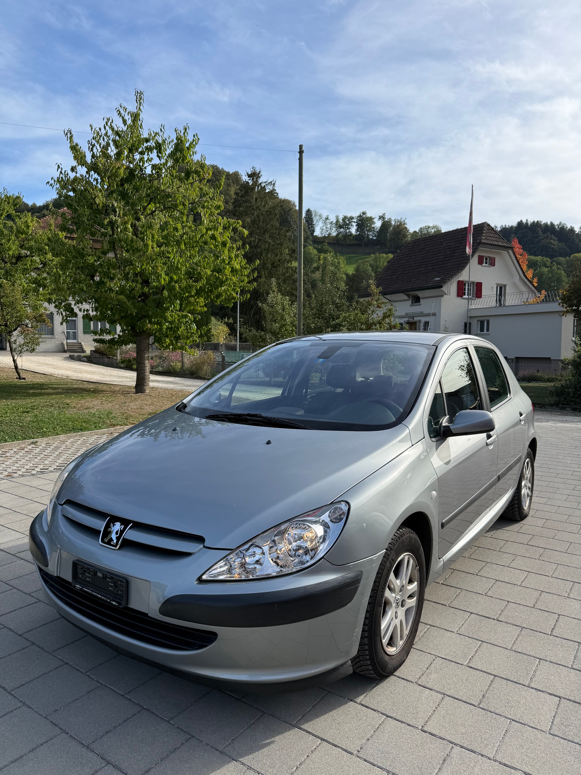PEUGEOT 2.0 L 16V-image-0