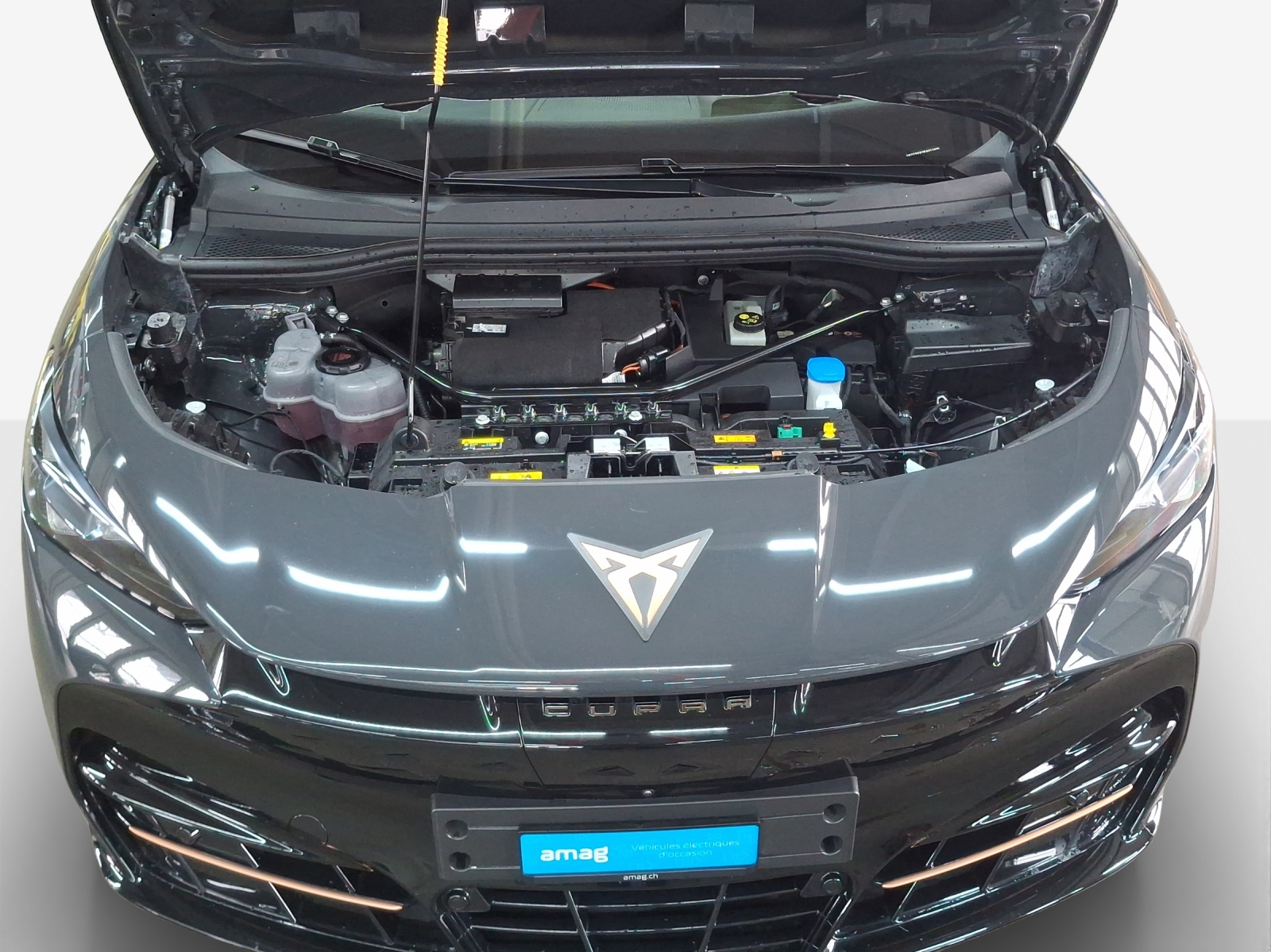 CUPRA Tavascan Type 9 77 kWh Adrenaline-image-16