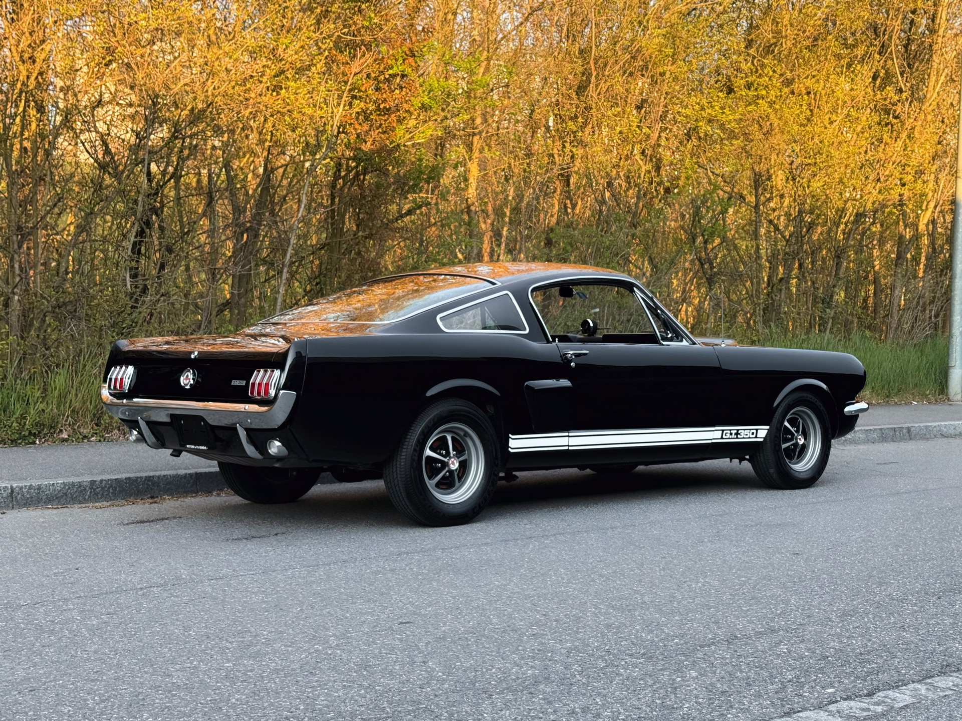 FORD Mustang Shelby GT 350-image-4