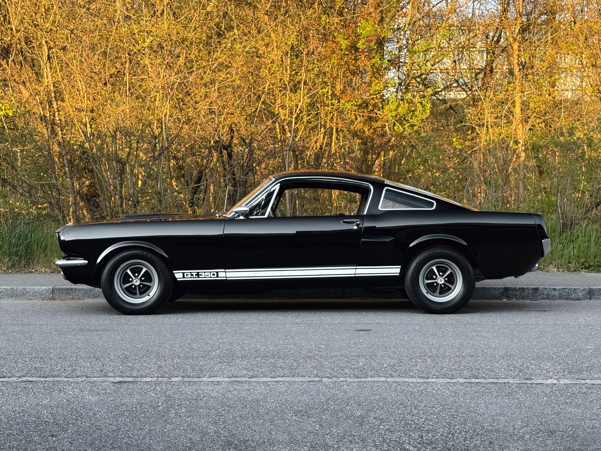 FORD Mustang Shelby GT 350-showroom-element-2