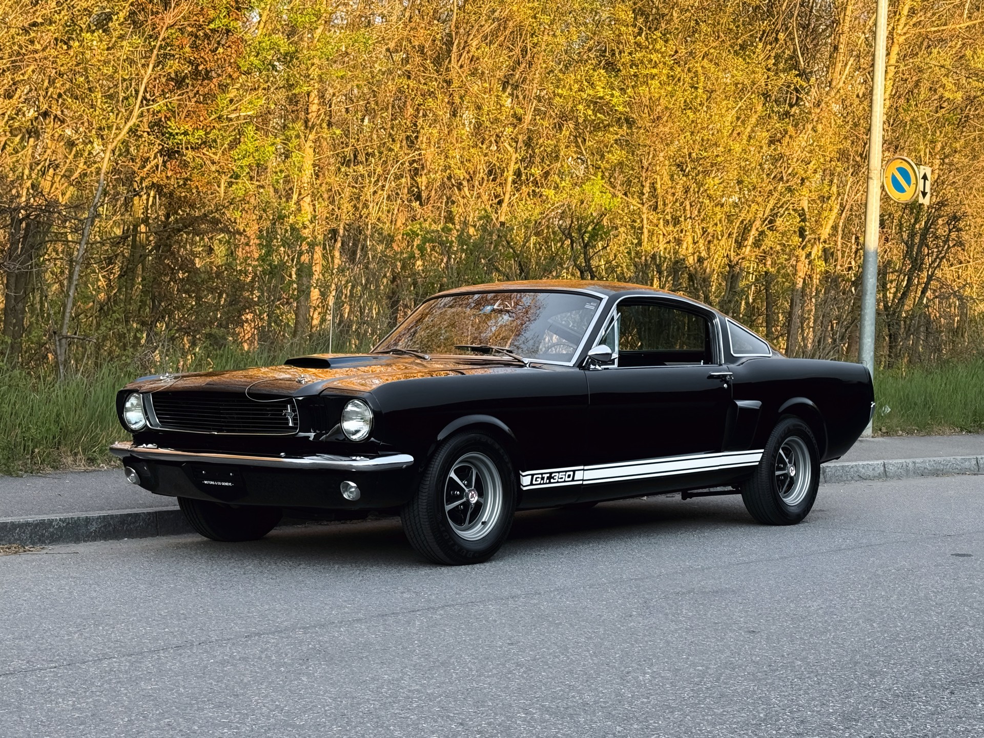 FORD Mustang Shelby GT 350-showroom-element-1