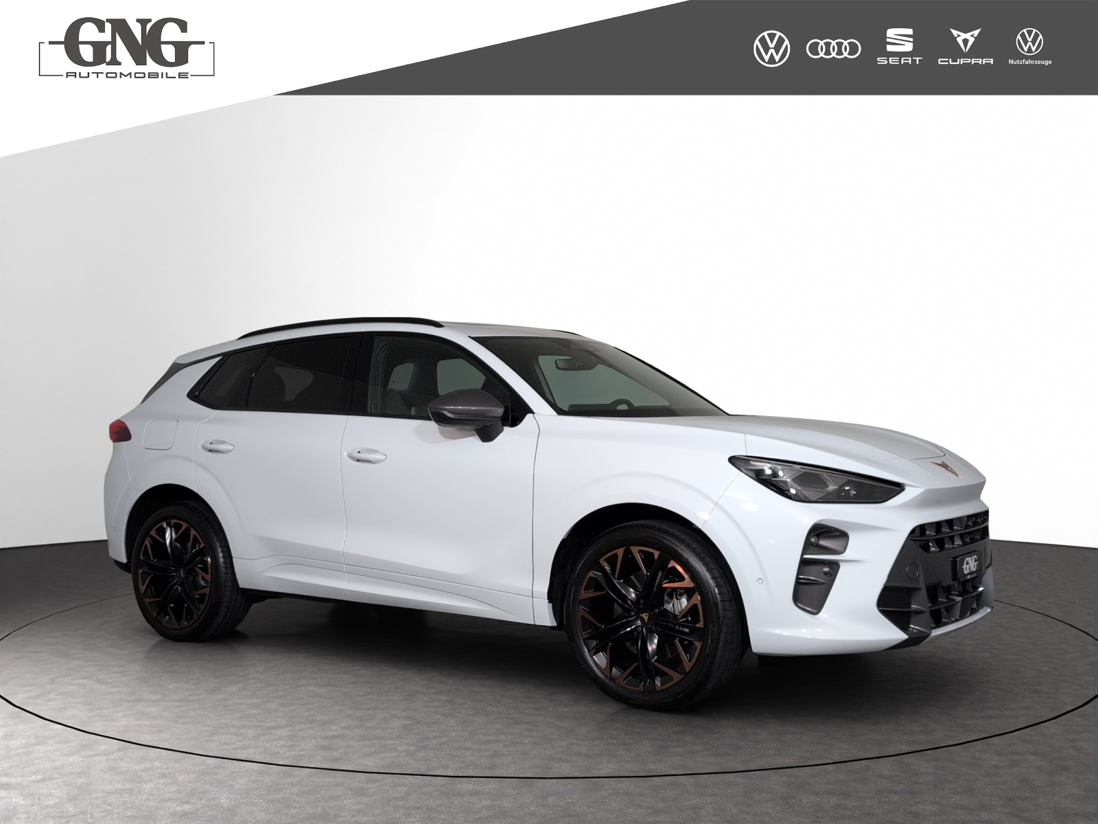 CUPRA Terramar 2.0 TSI Prime Edition DSG 4Drive-image-3