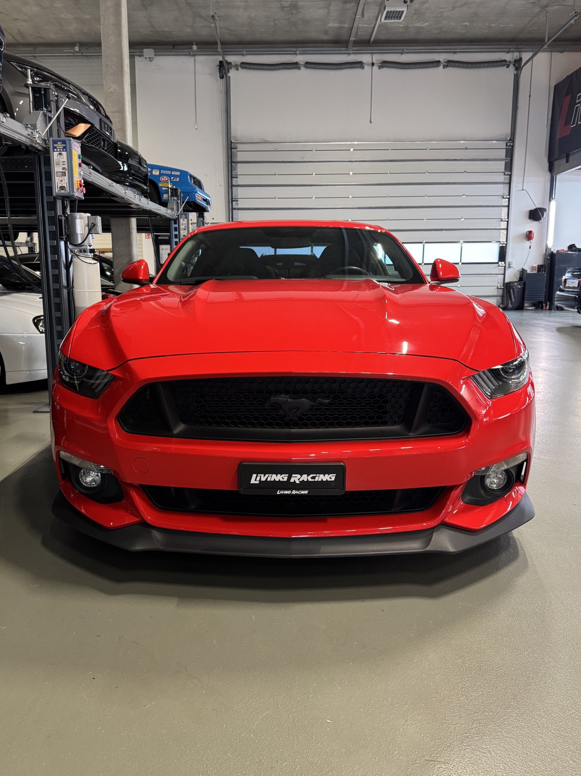 FORD Mustang Fastback 5.0 V8 GT * Perf. Pack-Recaro*-image-4