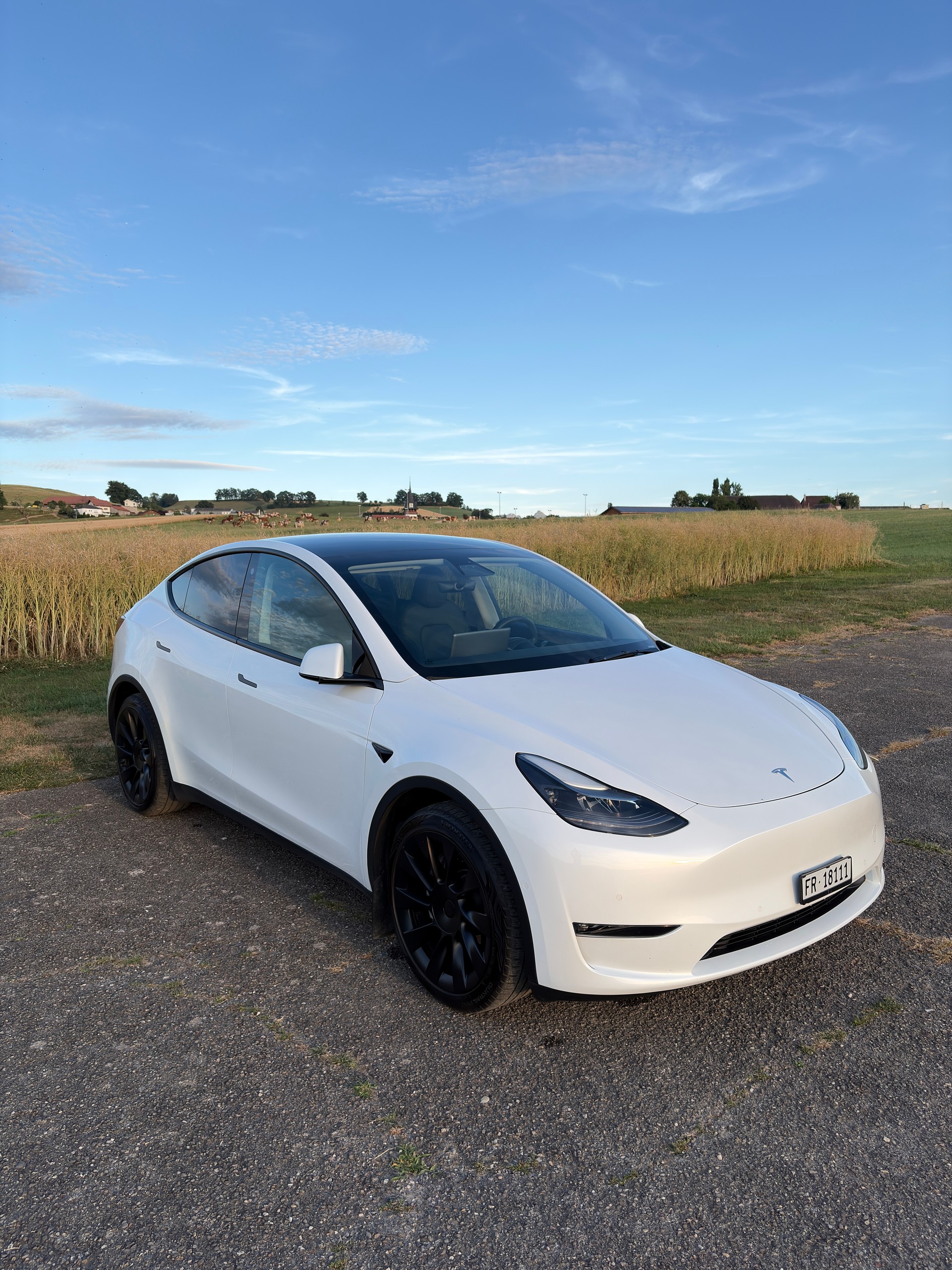 TESLA Model Y Long Range AWD // Enhanced Autopilot - AMD Ryzen - Ultraschallsensoren - Anhängerkupplung - Homelink // 94% SoH-image-0