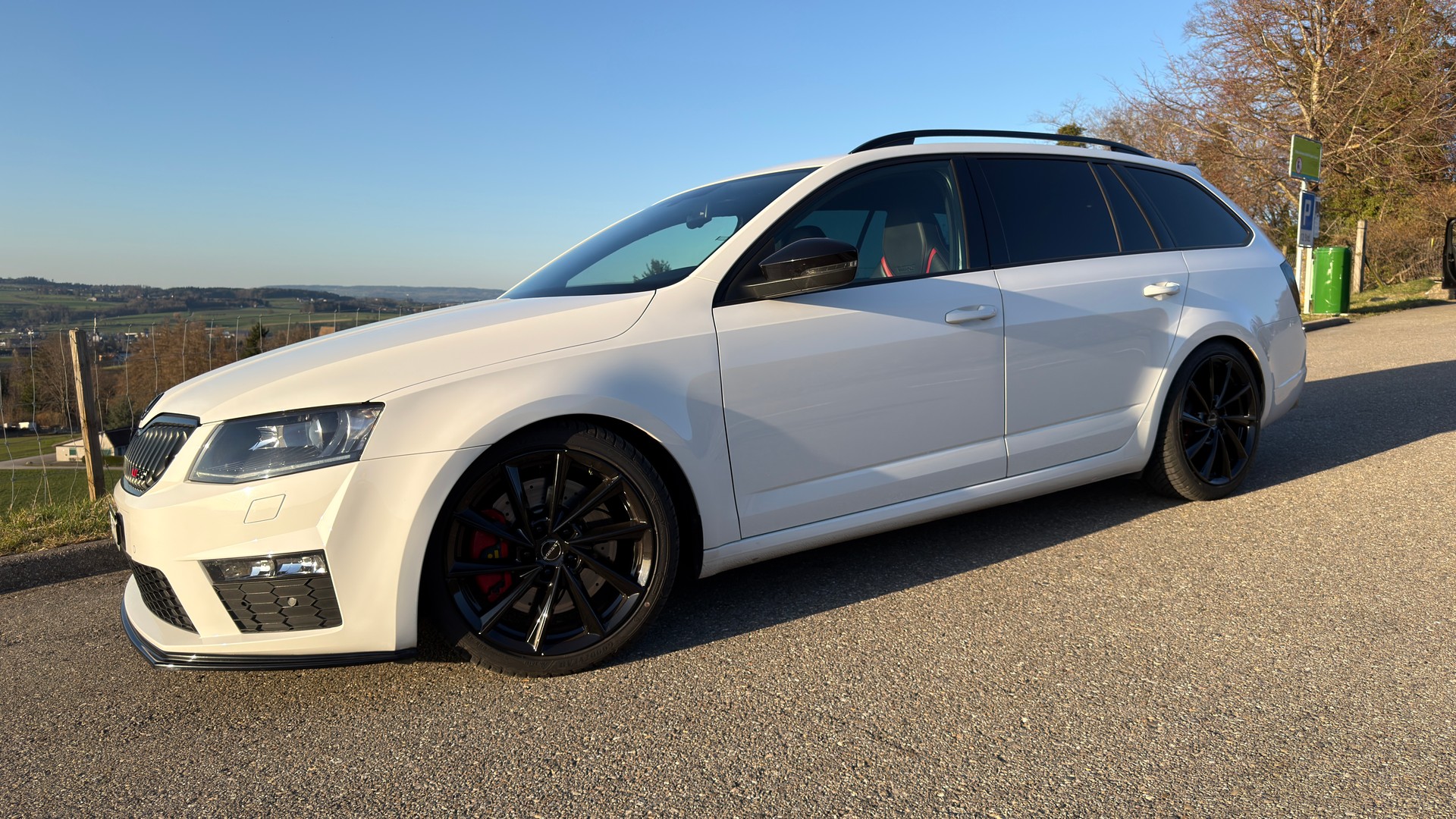 SKODA 2.0 TSI RS DSG-image-1