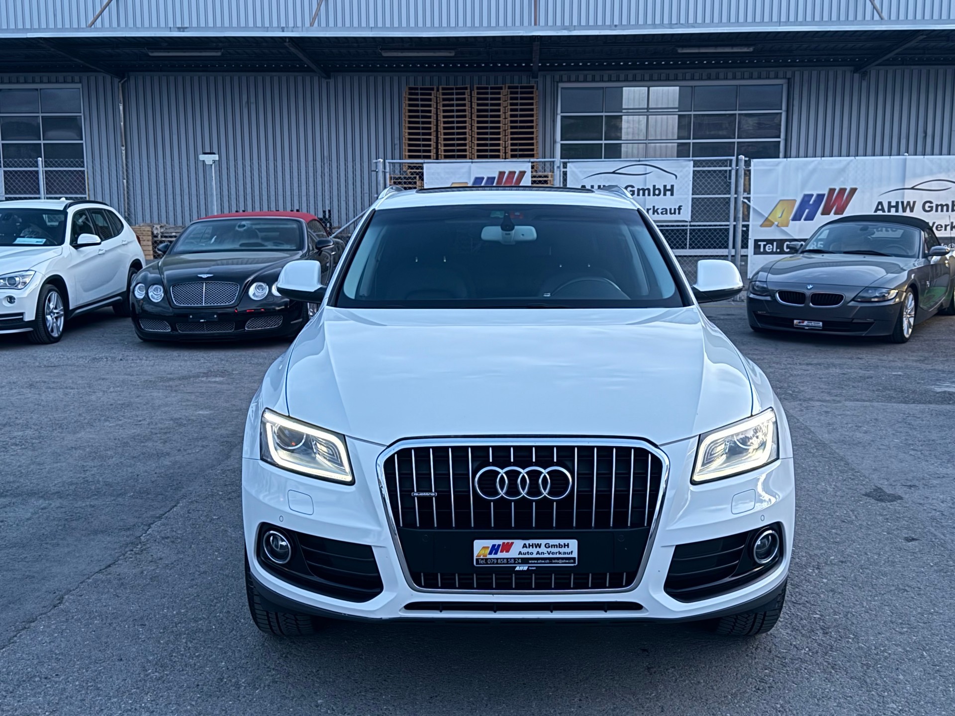 AUDI AUDI Q5 2.0 TFSI quattro tiptronic / Frisch ab MFK & Service / 1 Jahr Garantie / Panoramadach / Leder / Navigation-image-1