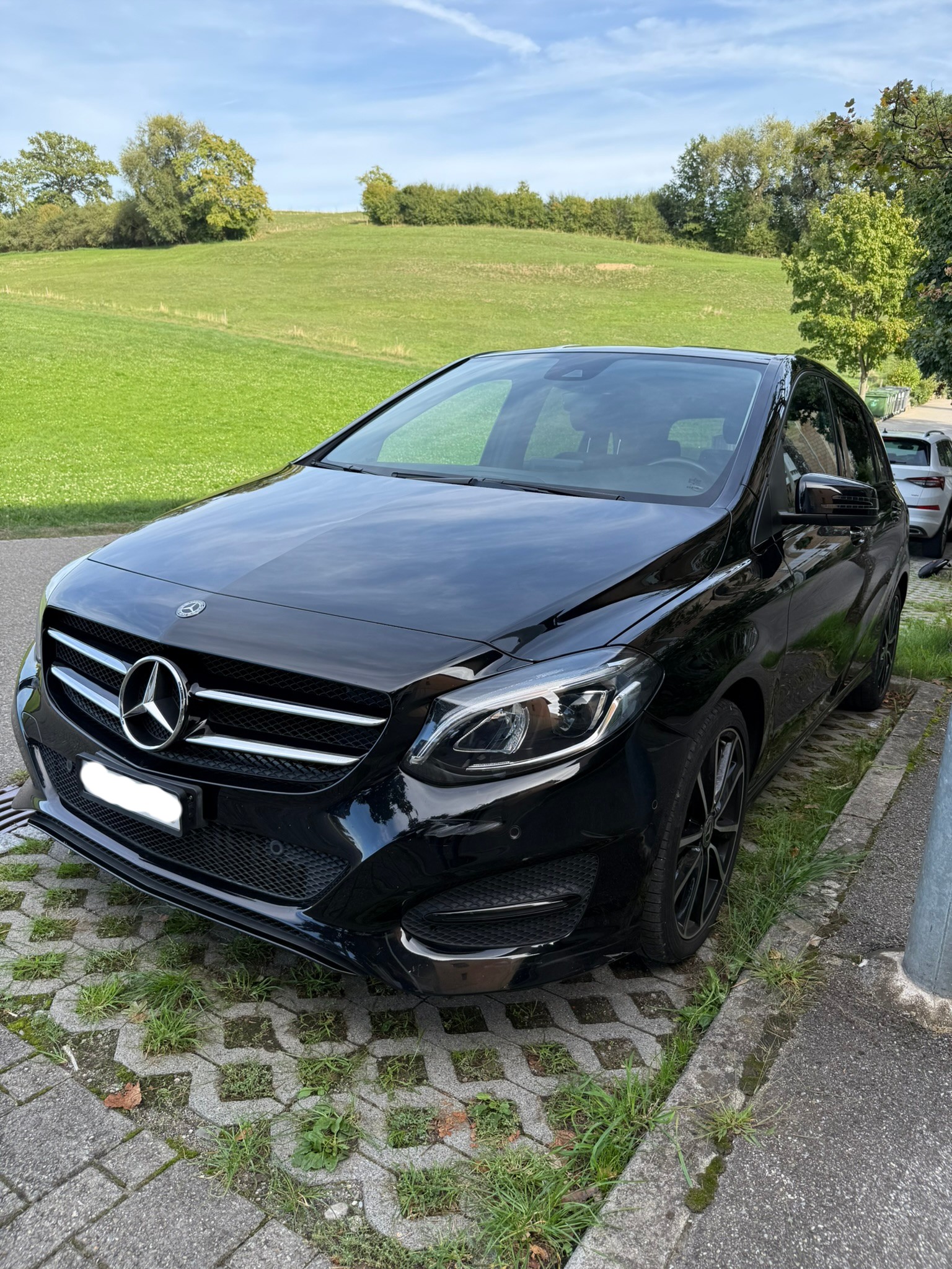MERCEDES-BENZ B 220 4m-image-1