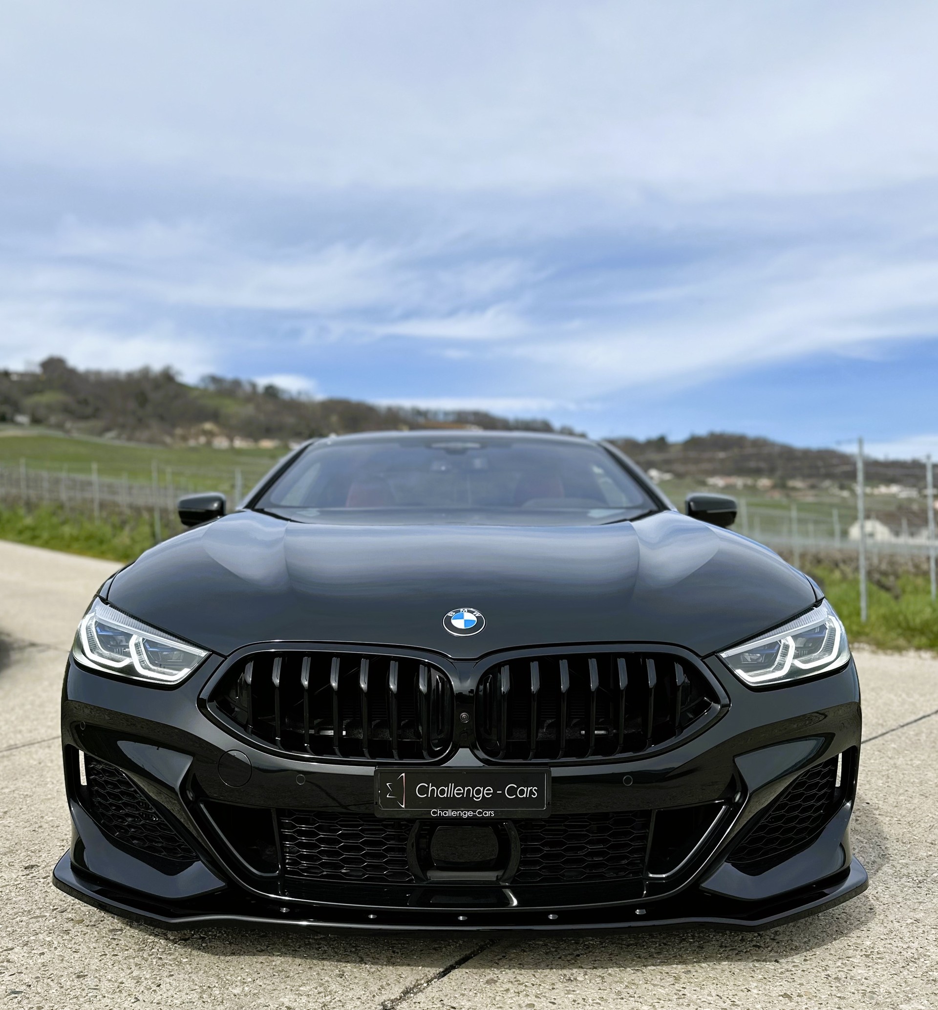 BMW M850i xDrive Steptronic-image-1