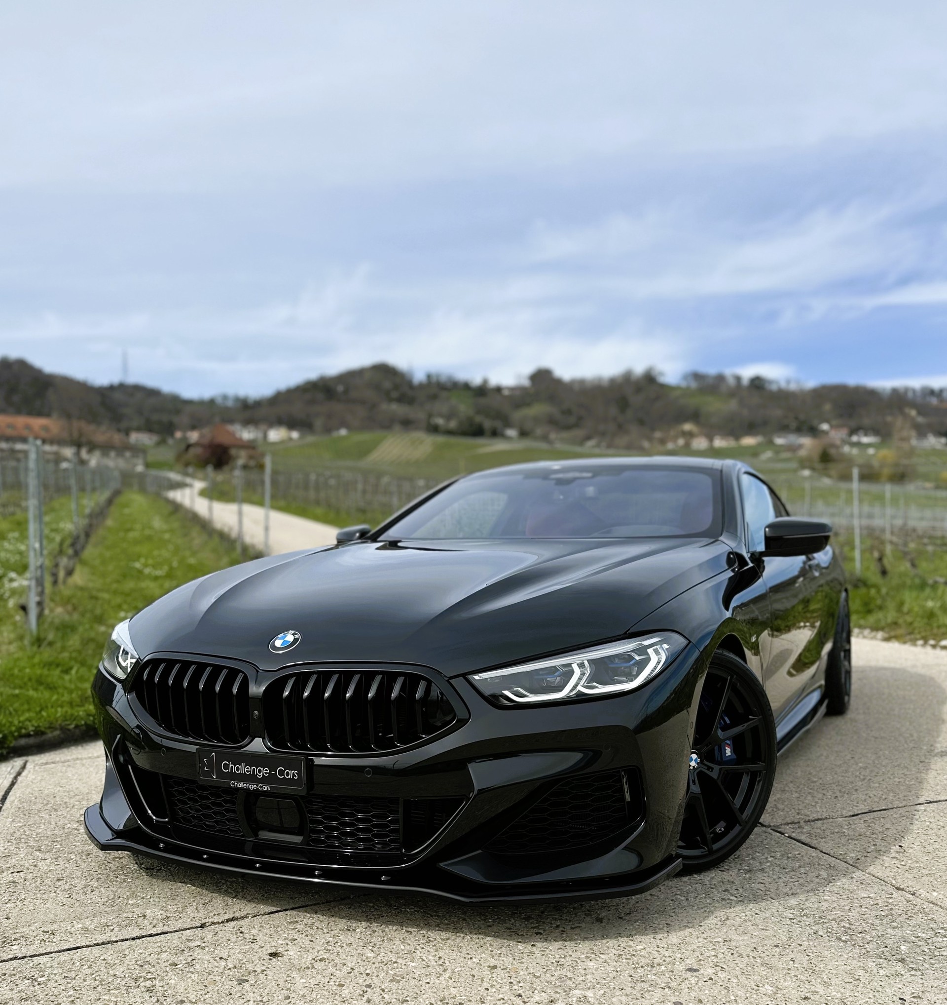 BMW M850i xDrive Steptronic-image-0