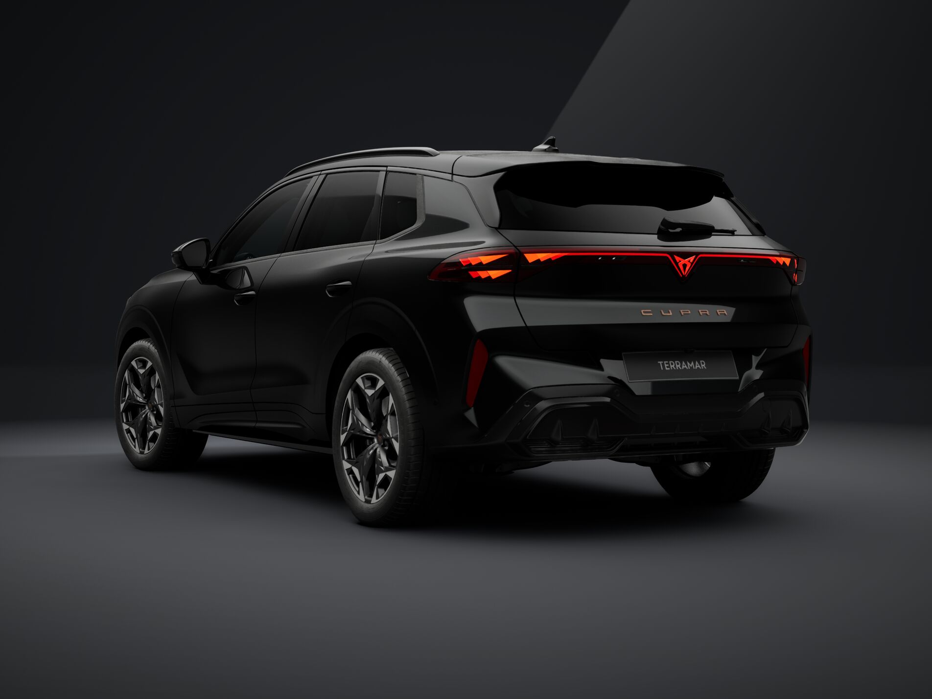 CUPRA Terramar 2.0 TSI DSG 4Drive VZ-image-2
