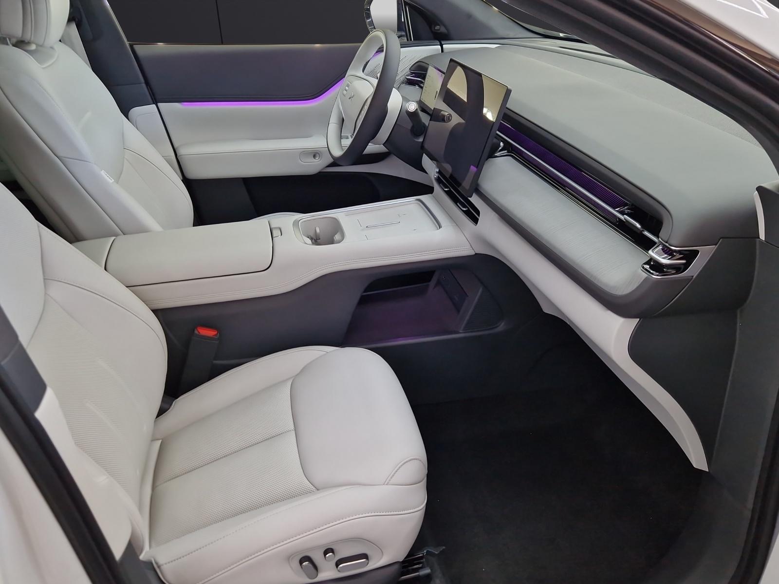 XPENG G6 Performance AWD-image-14