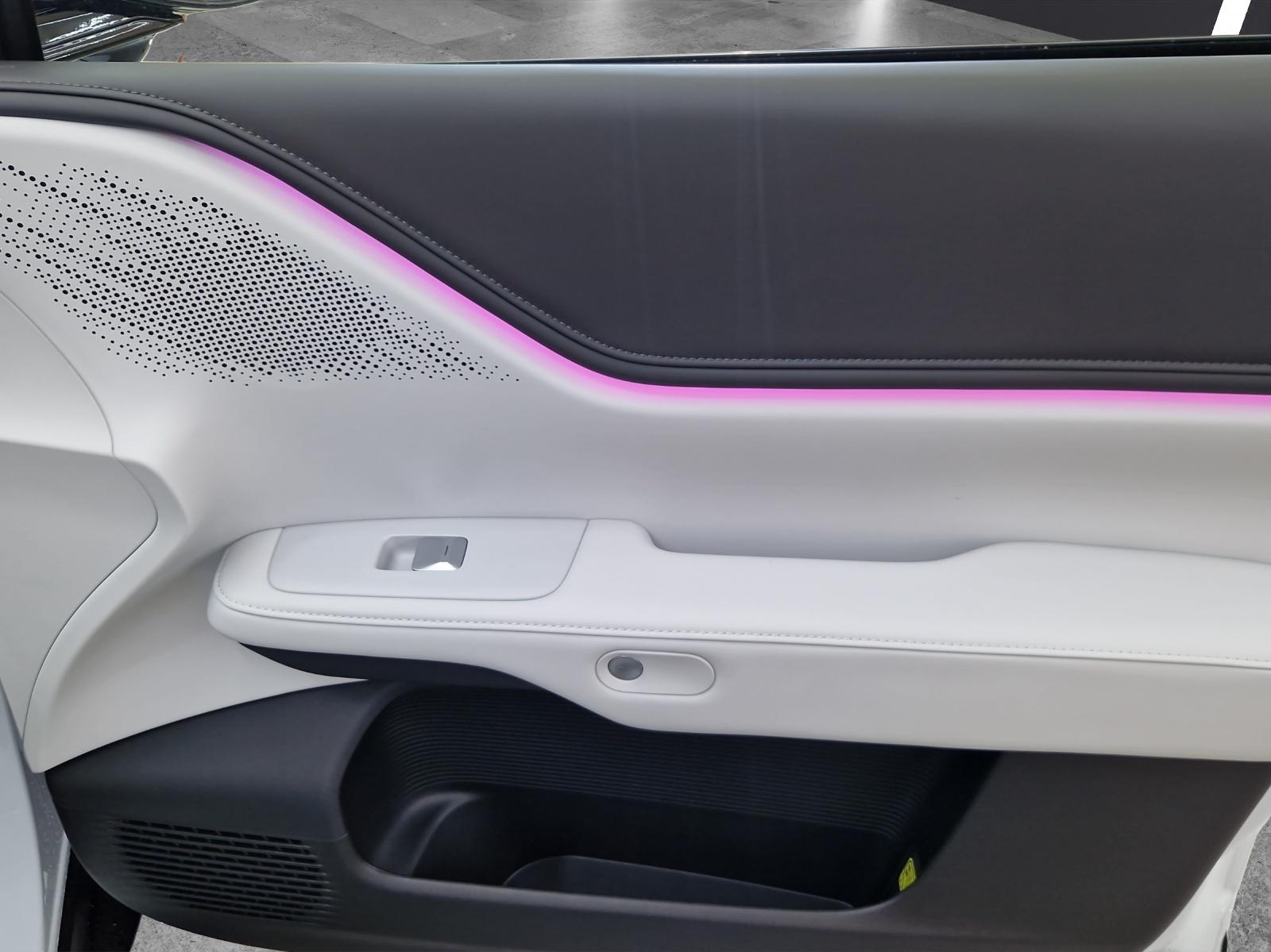 XPENG G6 Performance AWD-image-15