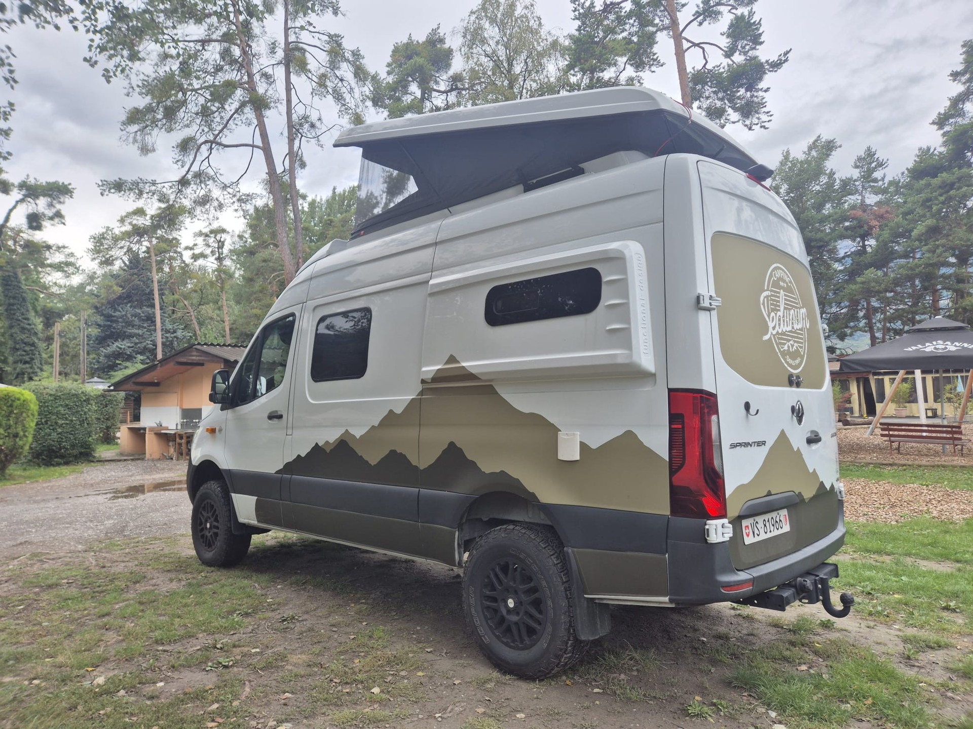 MERCEDES-BENZ Sprinter 319 CDI 4x4-image-2