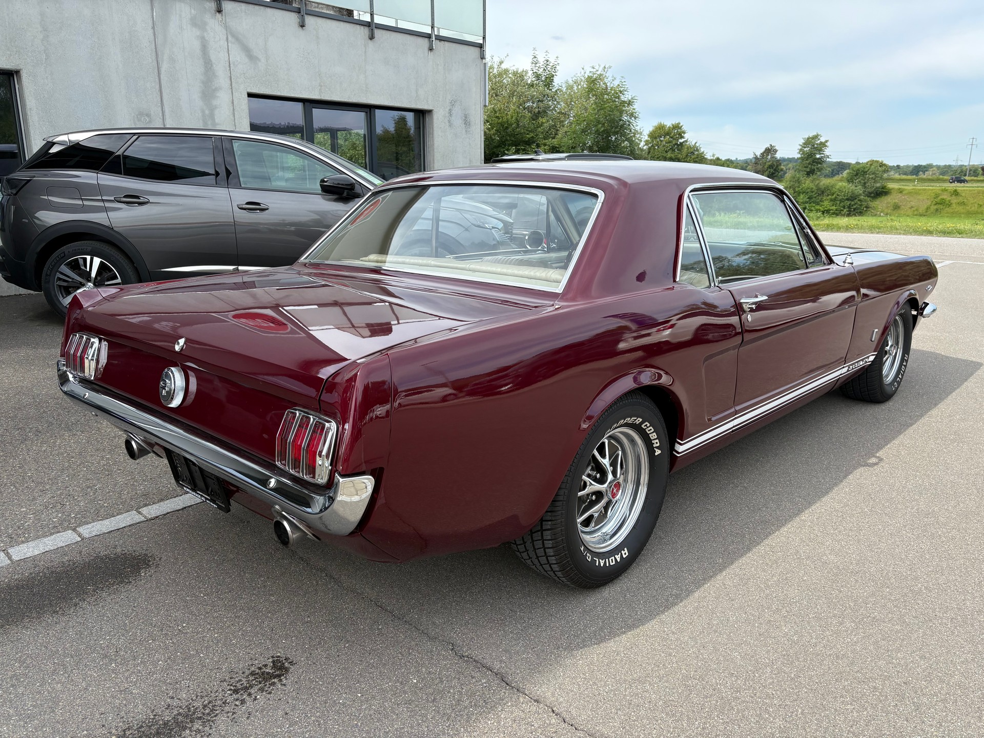 FORD Mustang GT Coupe-image-2
