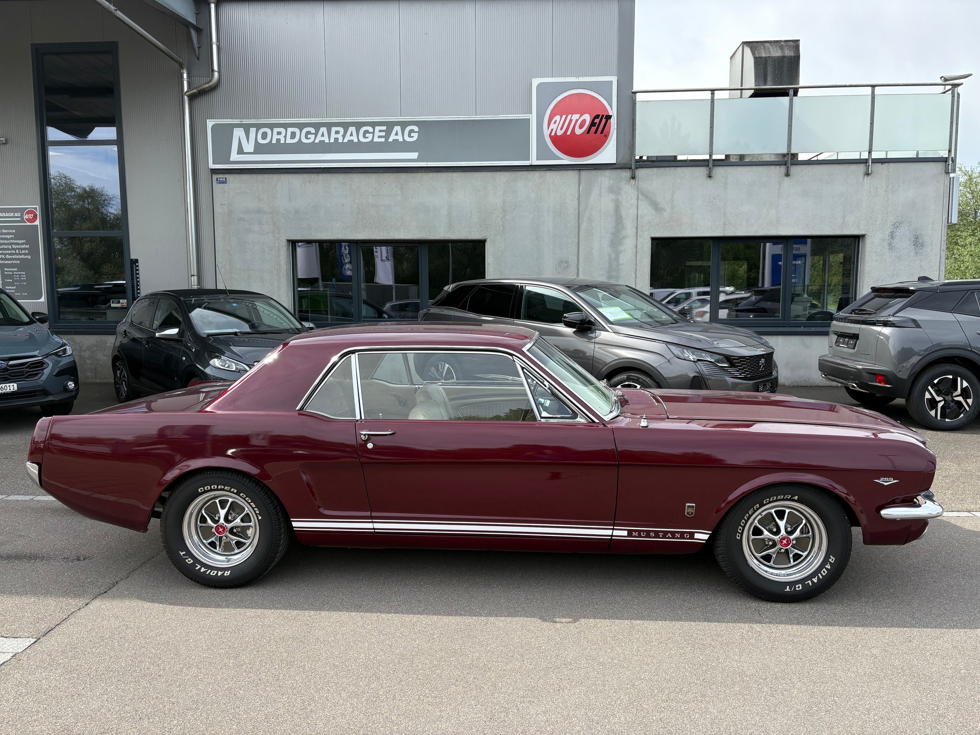 FORD Mustang GT Coupe-image-1
