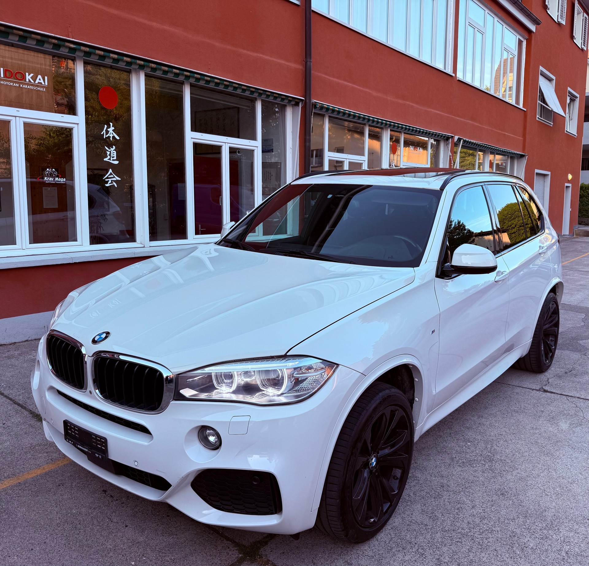 BMW X5 xDrive 30d Steptronic-image-0