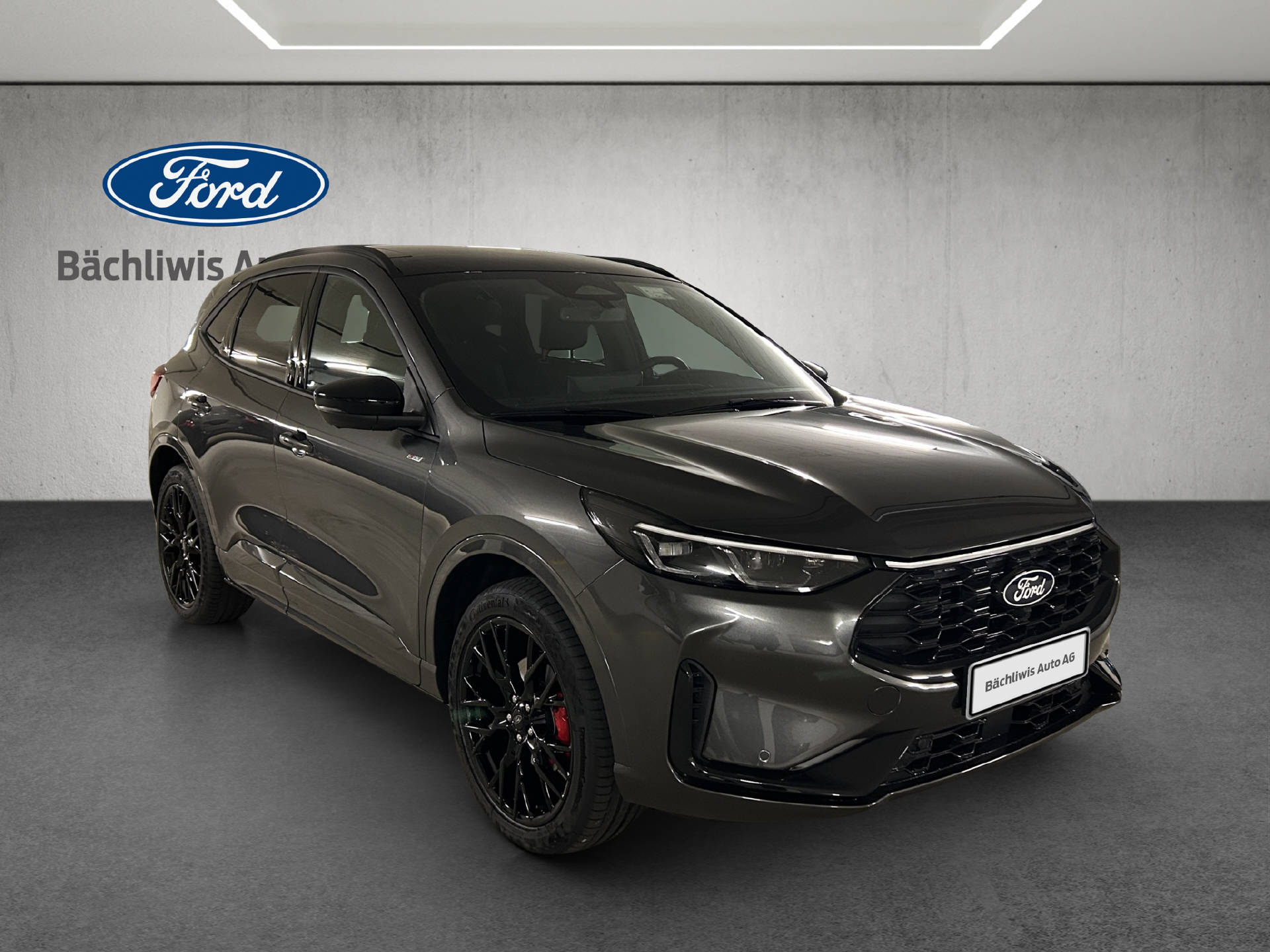 FORD Kuga 2.5 Plug-in Hybrid ST-Line X-image-6
