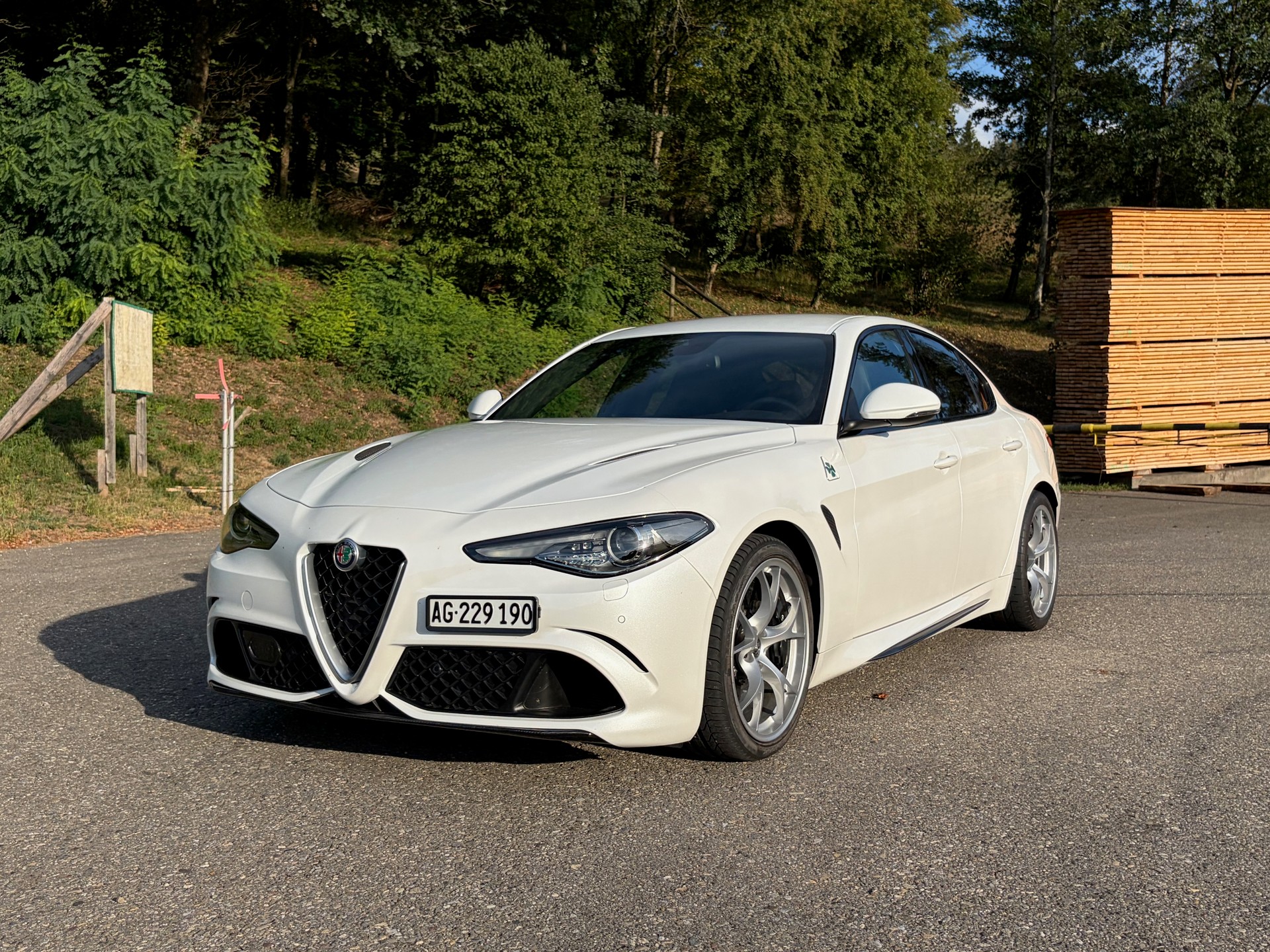 ALFA ROMEO 2.9 V6 Biturbo Quadrifoglio-image-5