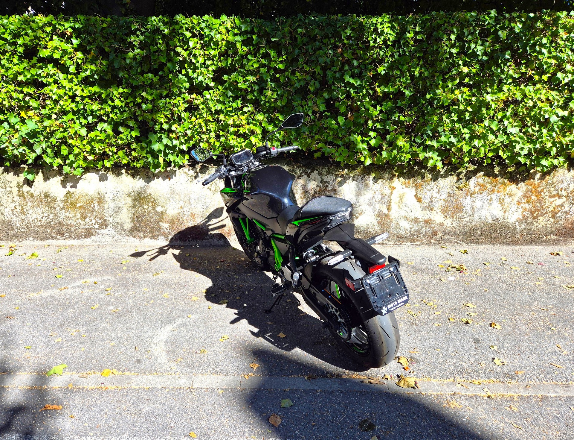 KAWASAKI Z 650 (35kW)-showroom-element-2