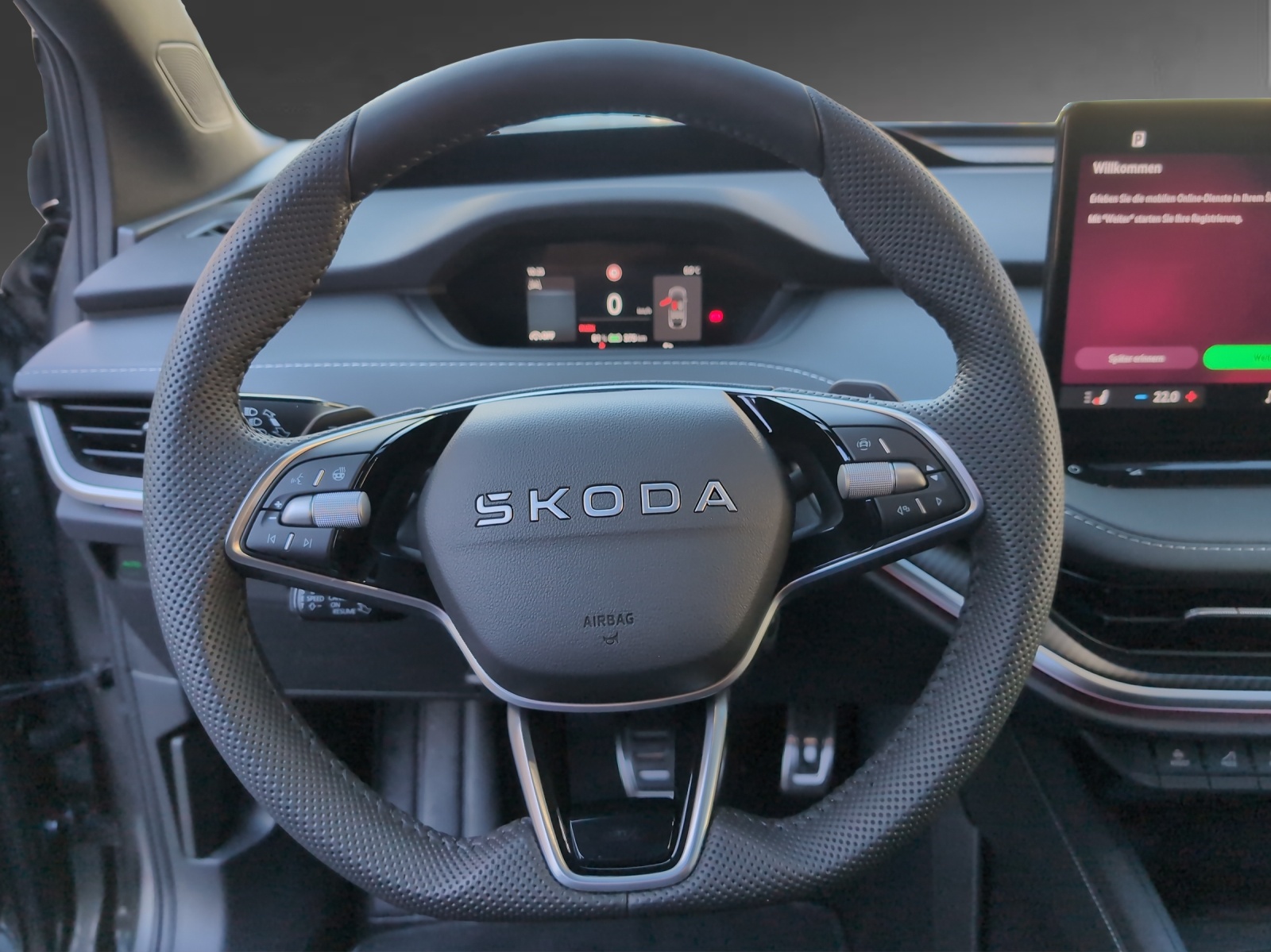 SKODA Enyaq 85x Sportline 4x4-image-8