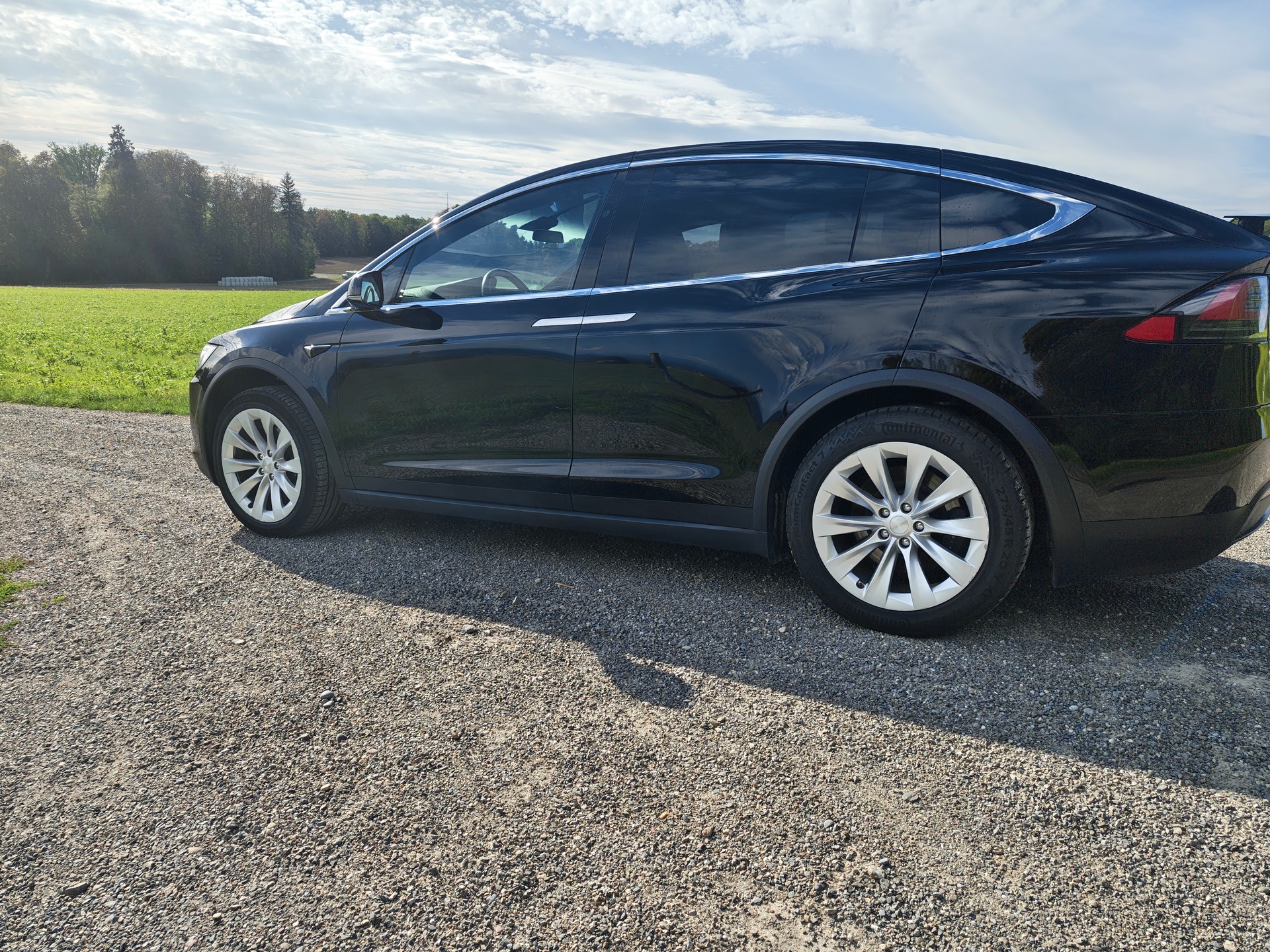 TESLA Model X Maximale-Reichweite plus 7 sitz-image-3