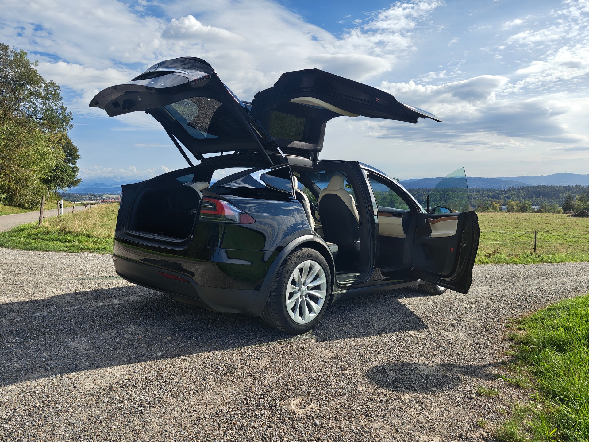 TESLA Model X Maximale-Reichweite plus 7 sitz-image-1