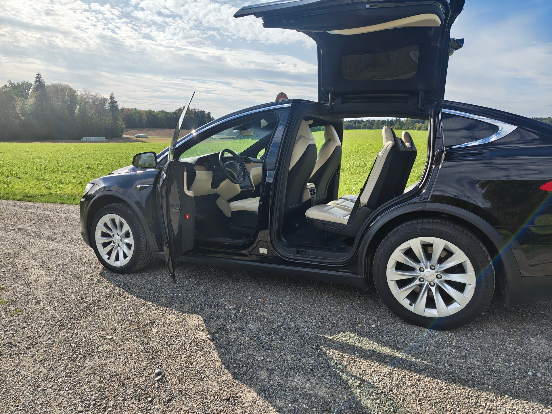 TESLA Model X Maximale-Reichweite plus 7 sitz-image-2