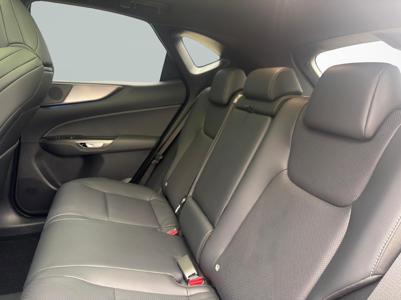 LEXUS NX 450h+ F-Sport-image-10