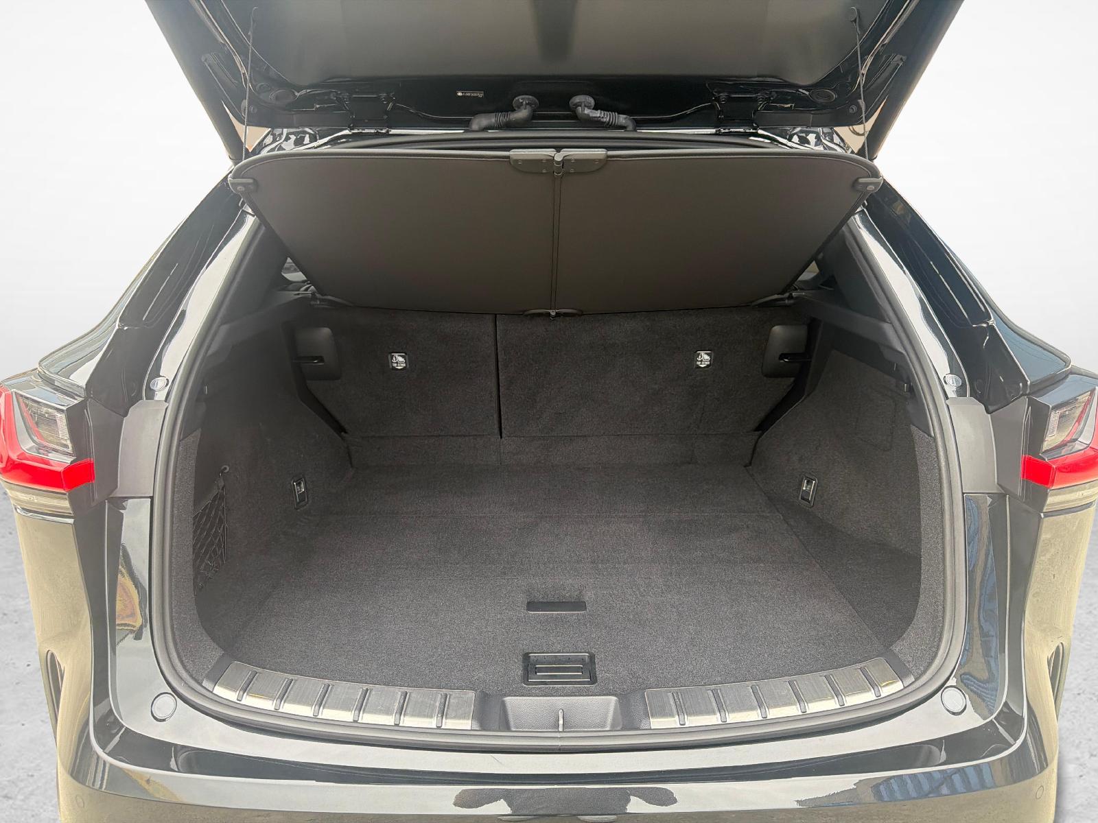 LEXUS NX 450h+ F-Sport-image-11