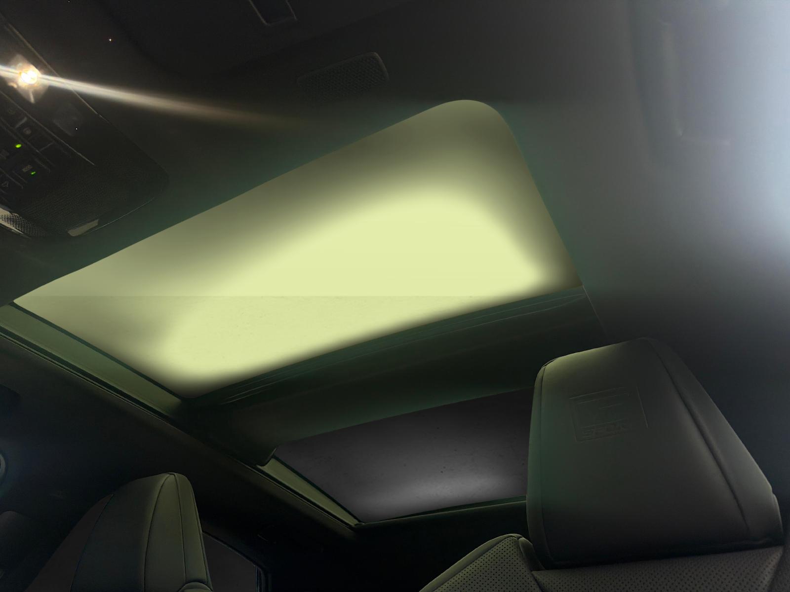 LEXUS NX 450h+ F-Sport-image-15