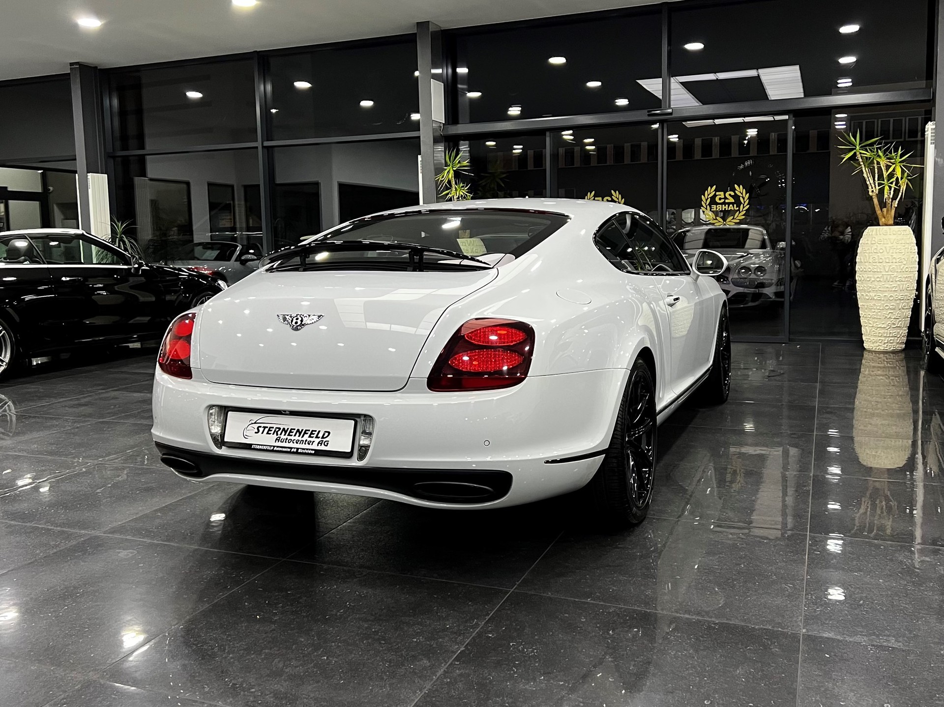 BENTLEY Continental Supersports 6.0-image-6