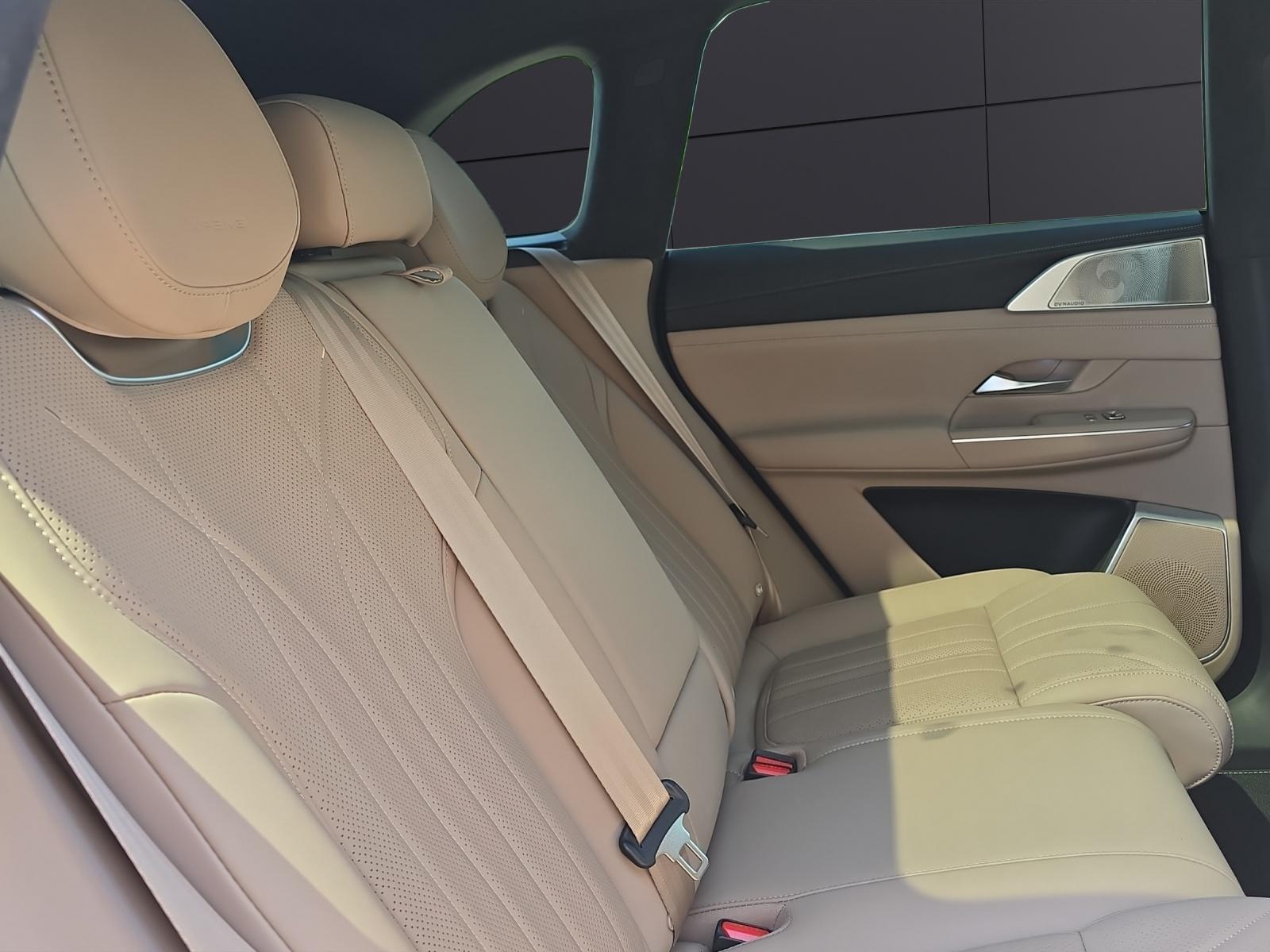 XPENG G9 Performance AWD-image-13