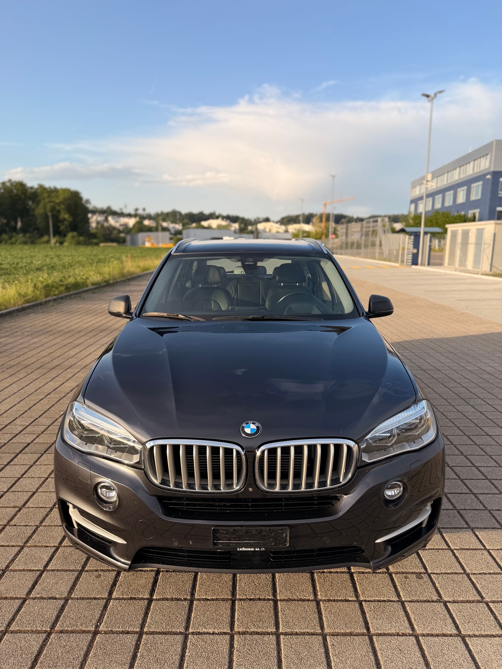 BMW X5 xDrive 40e iPerformance Steptronic-showroom-element-3