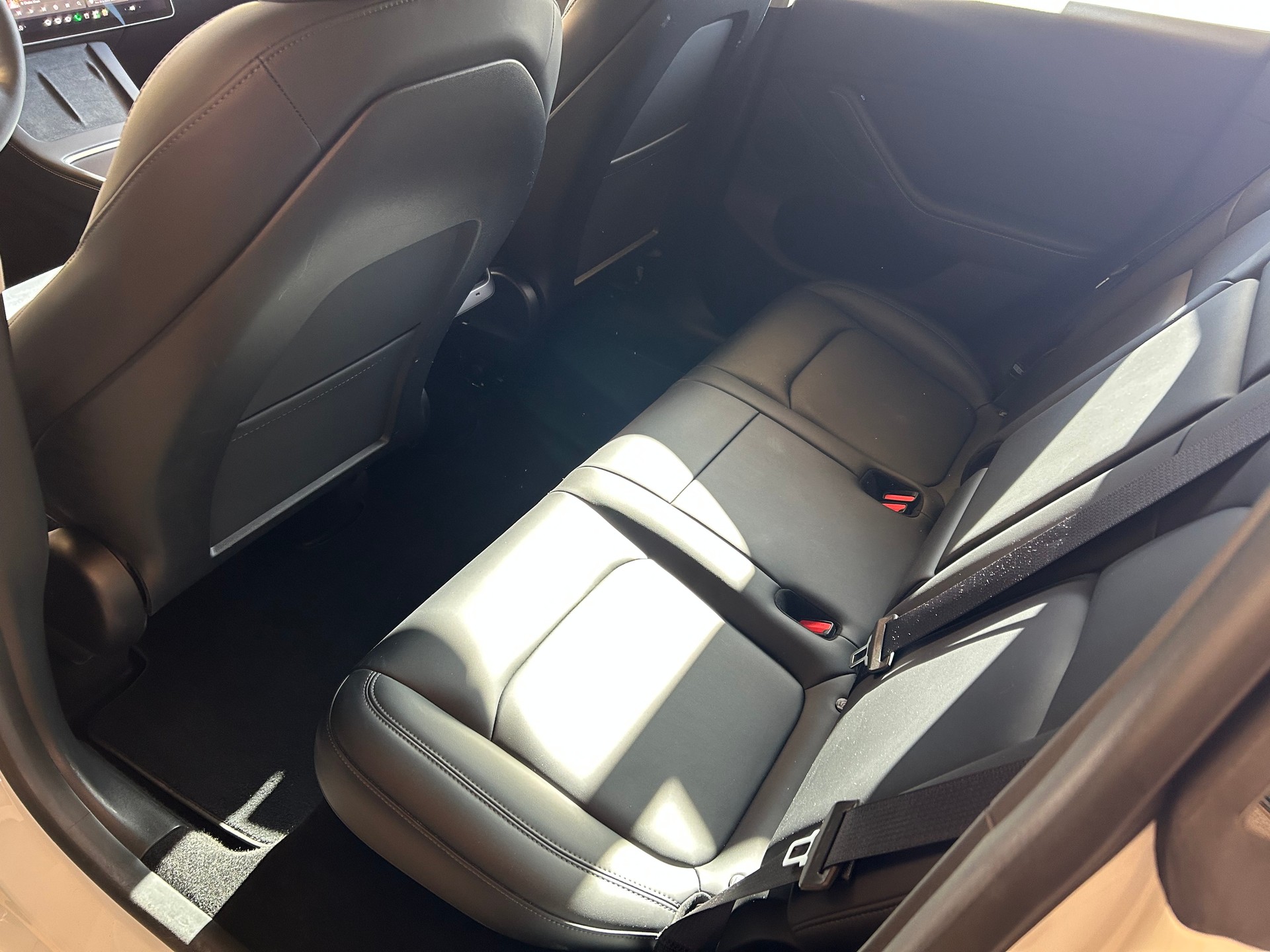 TESLA Rear-Wheel Drive-image-5