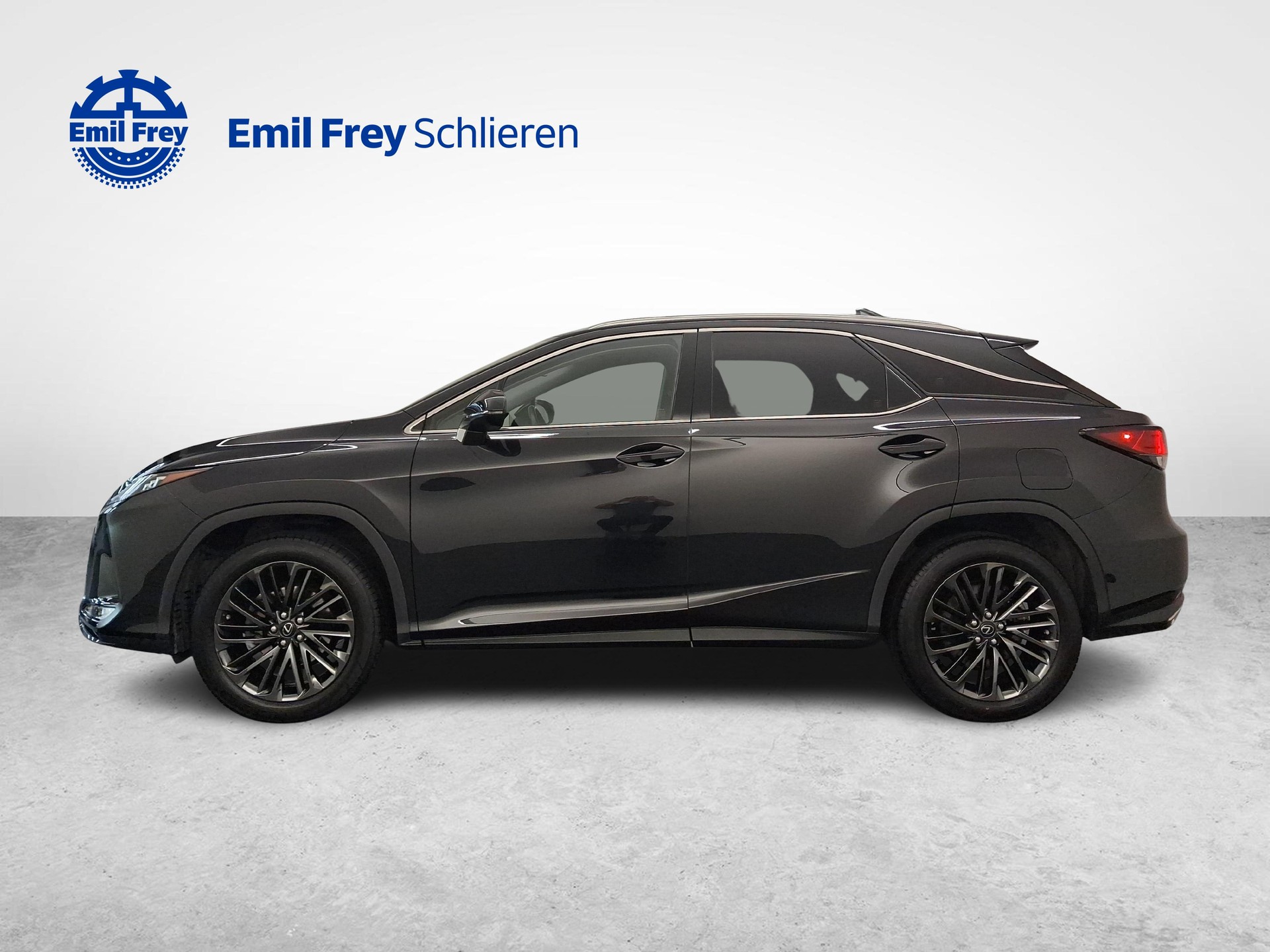 LEXUS RX 300 Special Edition-showroom-element-1