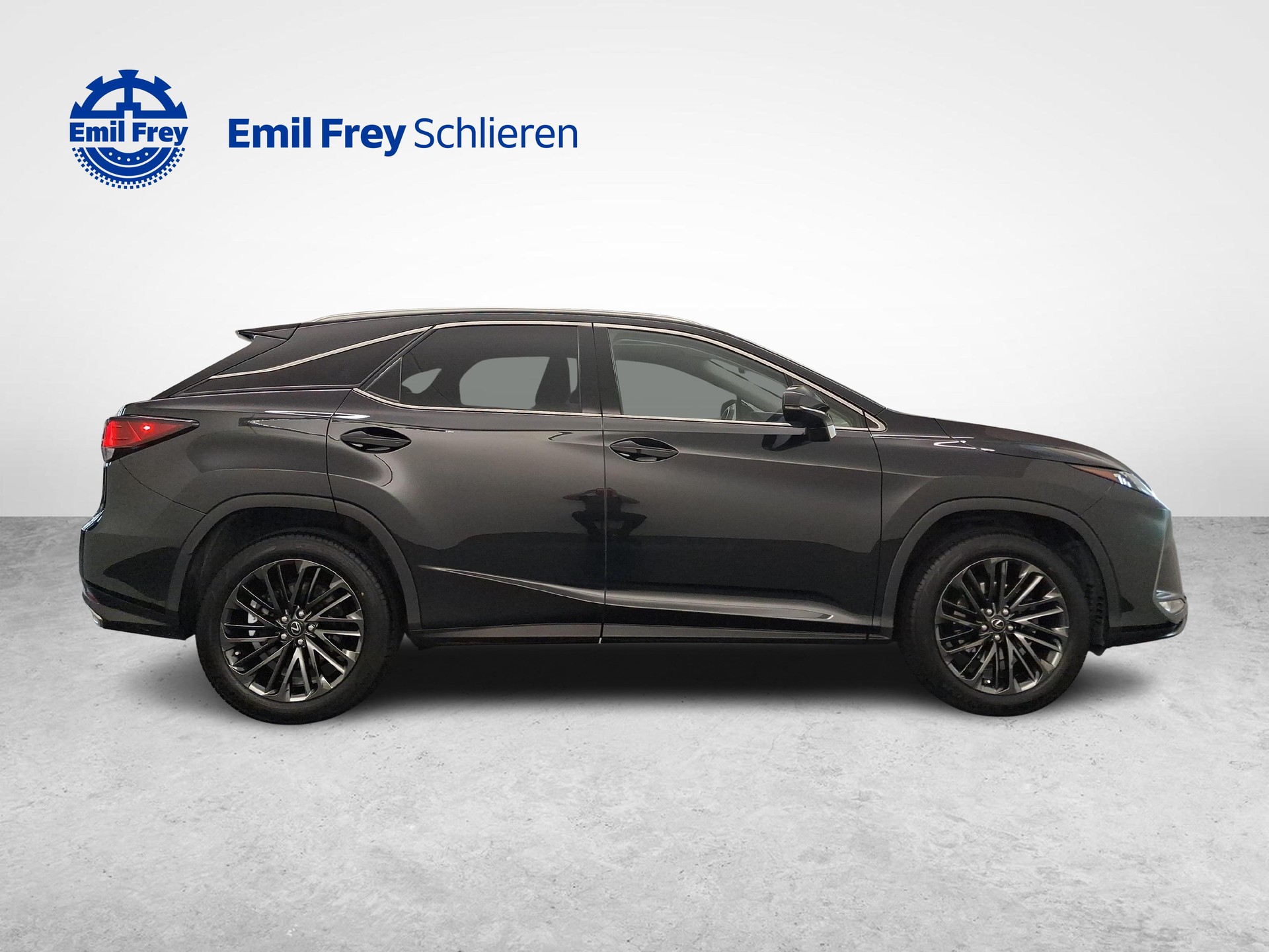 LEXUS RX 300 Special Edition-image-5
