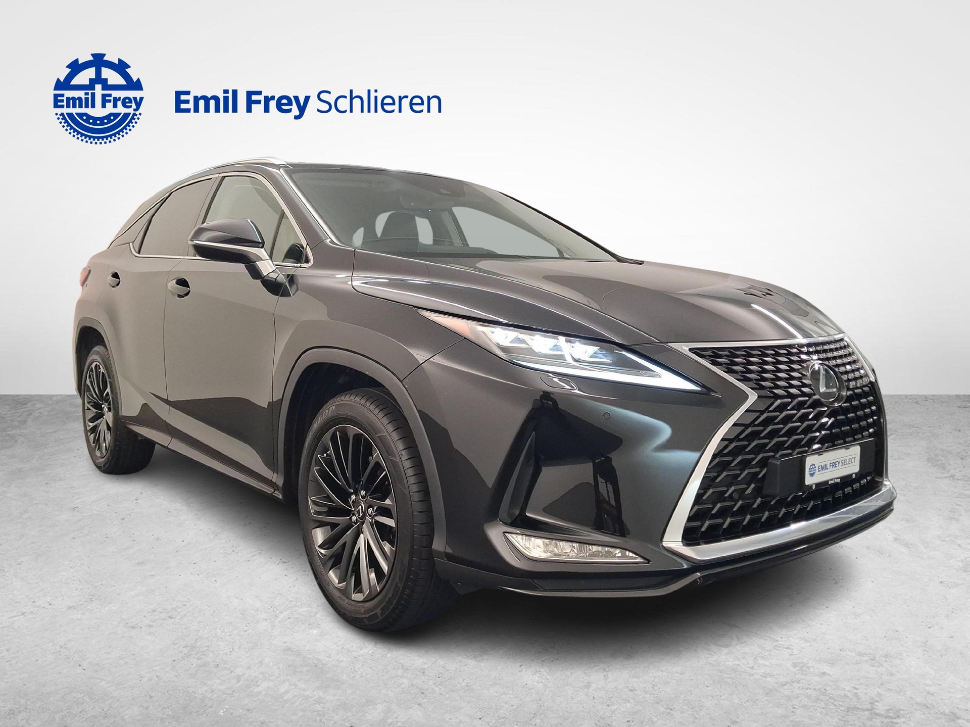 LEXUS RX 300 Special Edition-image-6