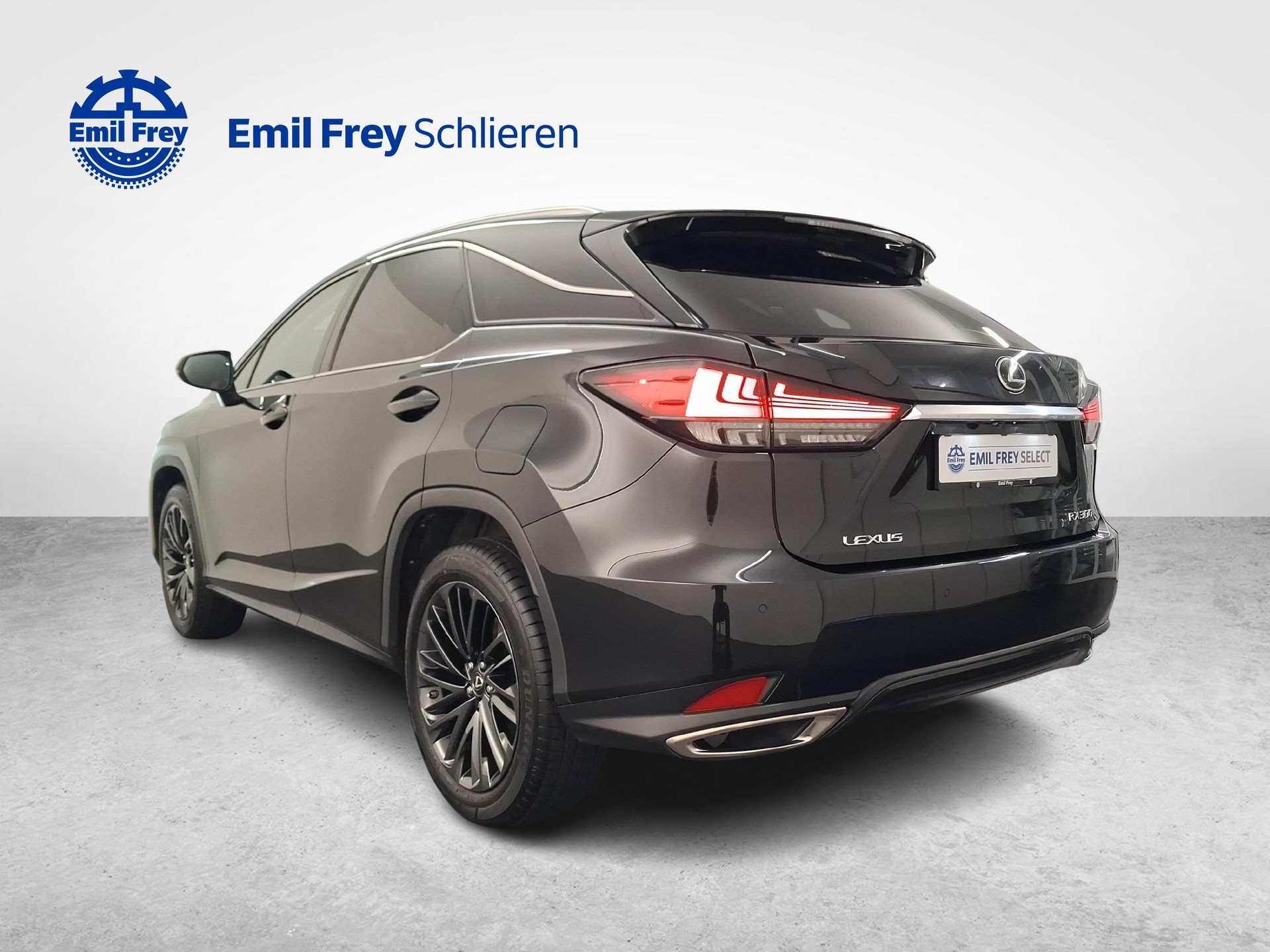 LEXUS RX 300 Special Edition-showroom-element-2