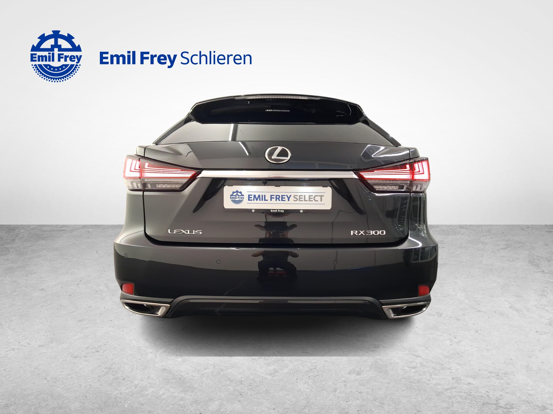 LEXUS RX 300 Special Edition-showroom-element-3