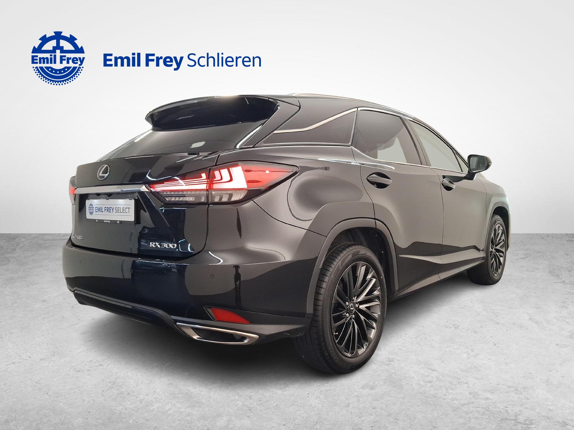 LEXUS RX 300 Special Edition-image-4