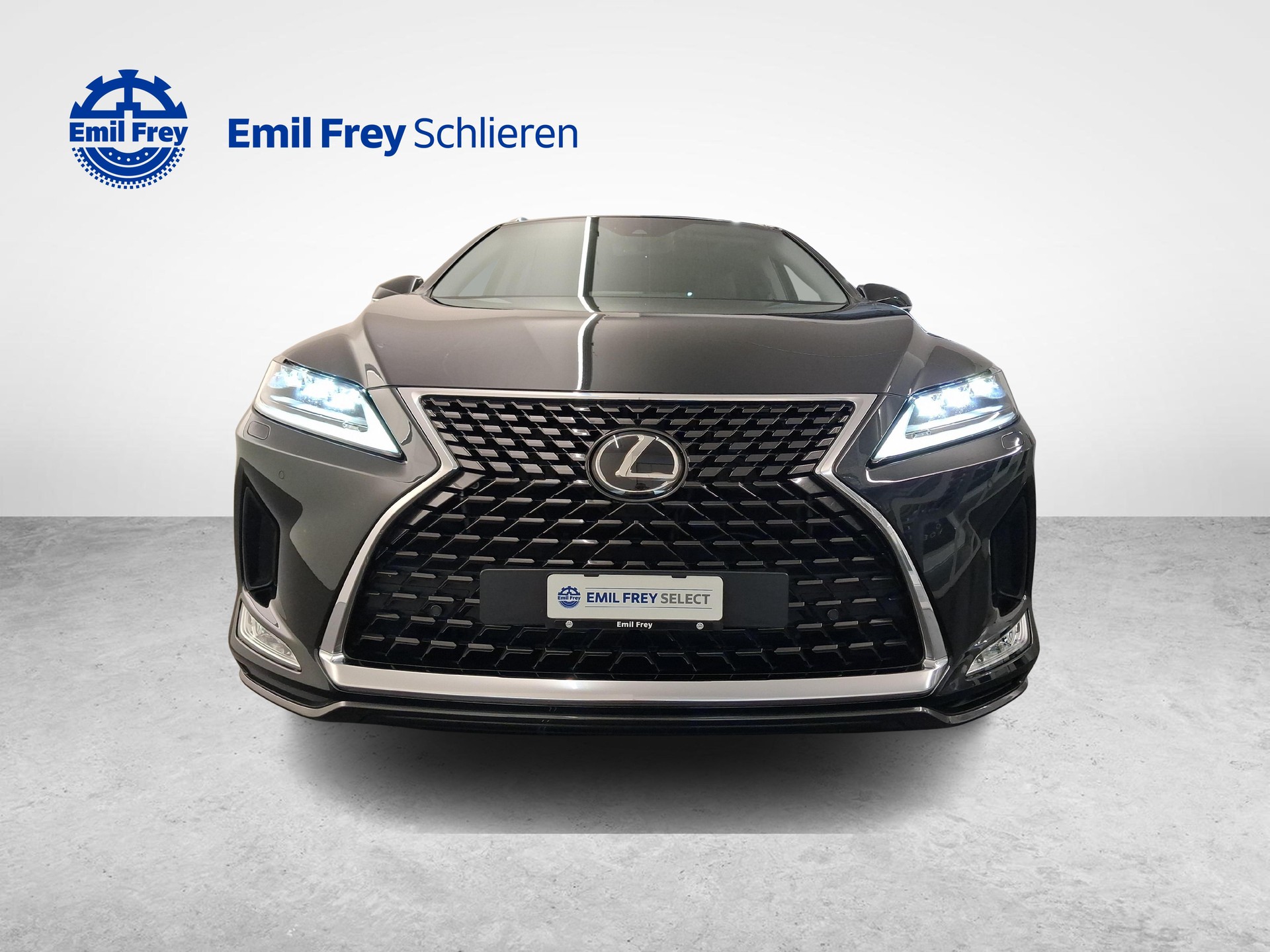 LEXUS RX 300 Special Edition-image-7