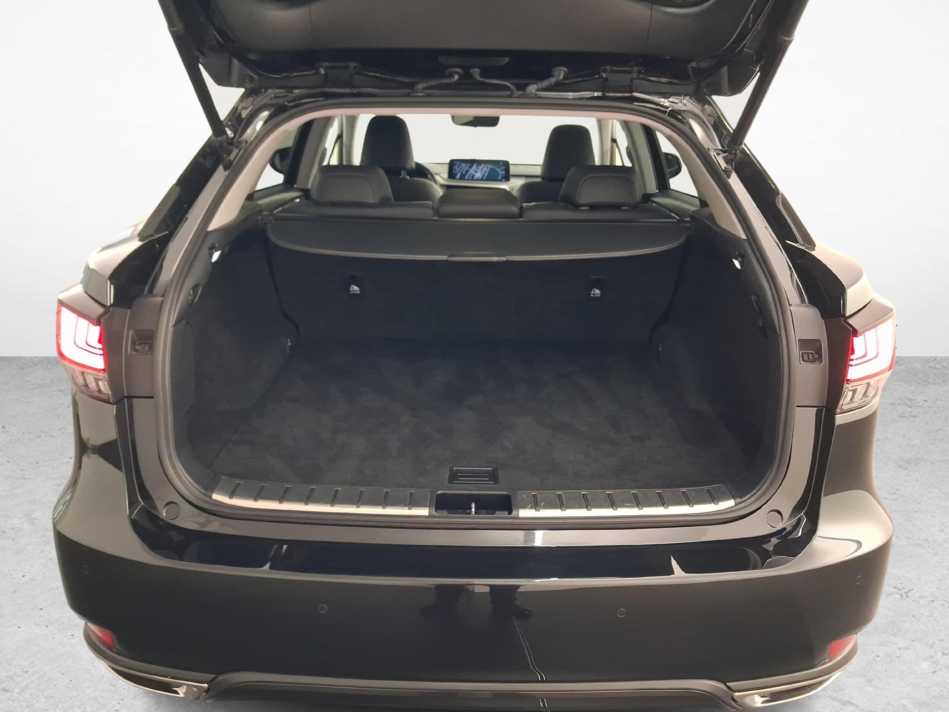 LEXUS RX 300 Special Edition-image-11