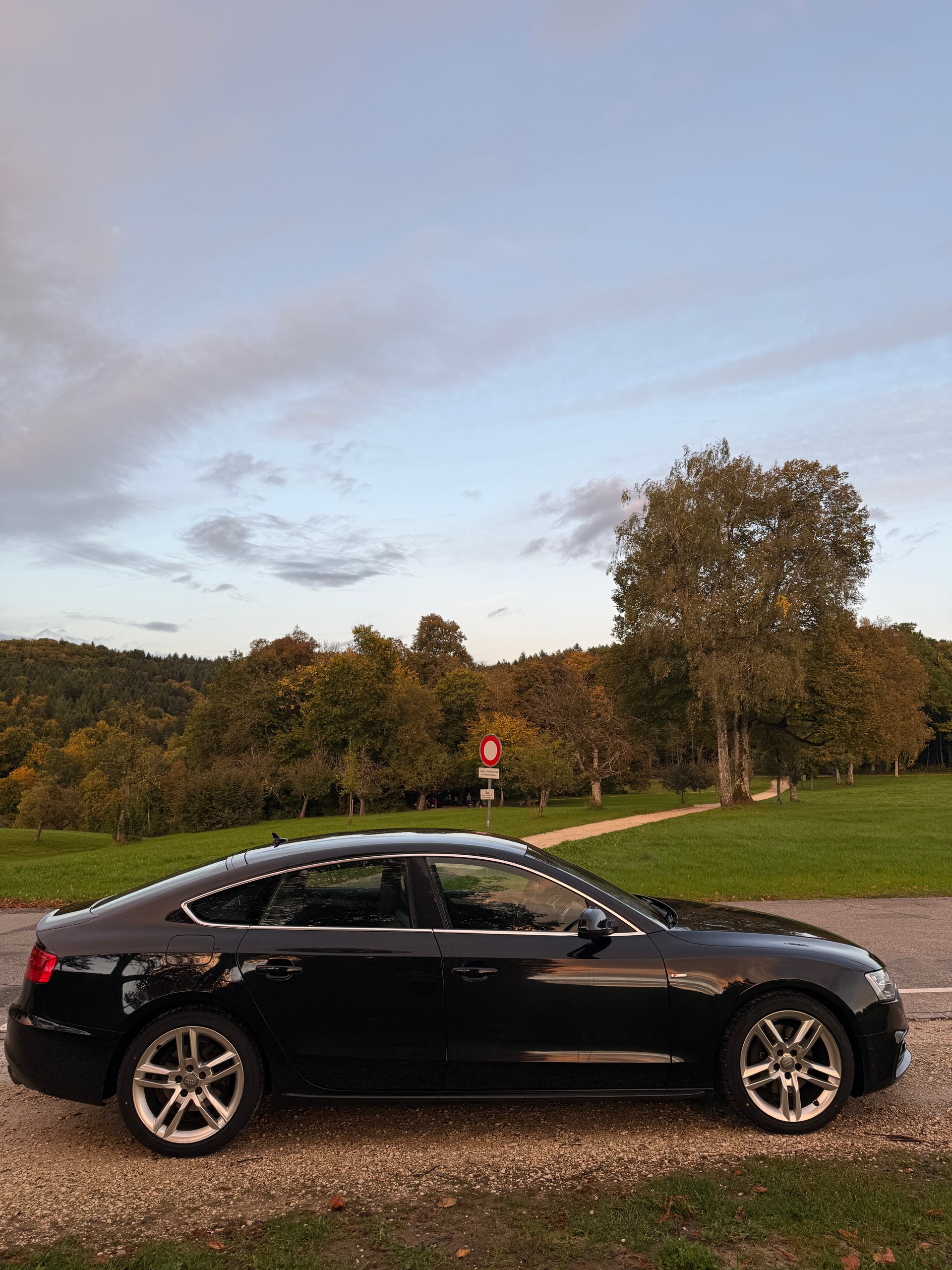 AUDI A5 2.0 TFSI quattro S-Tronic-image-4