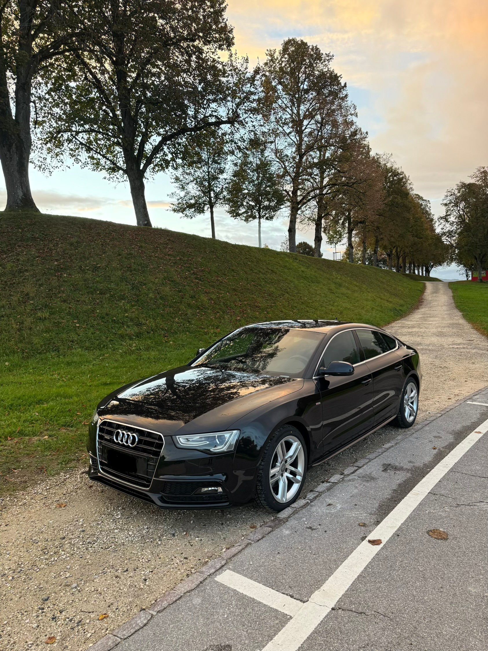 AUDI A5 2.0 TFSI quattro S-Tronic-image-3