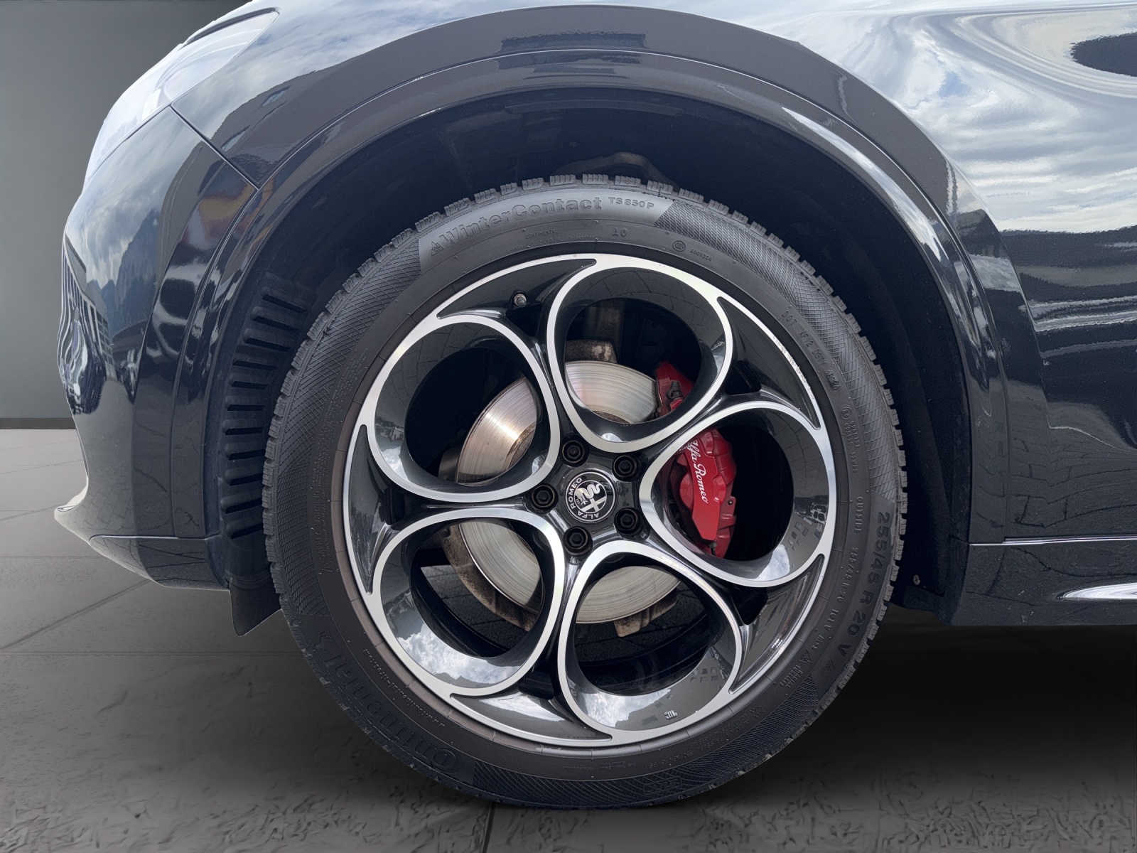 ALFA ROMEO Stelvio 2.0 Q4 280 Veloce-image-8