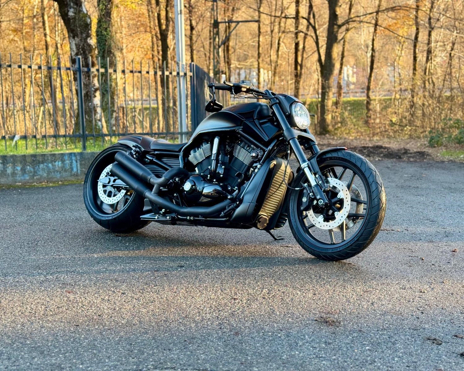 HARLEY-DAVIDSON VRSCDX 1250 V-Rod Night Rod Special-showroom-element-2