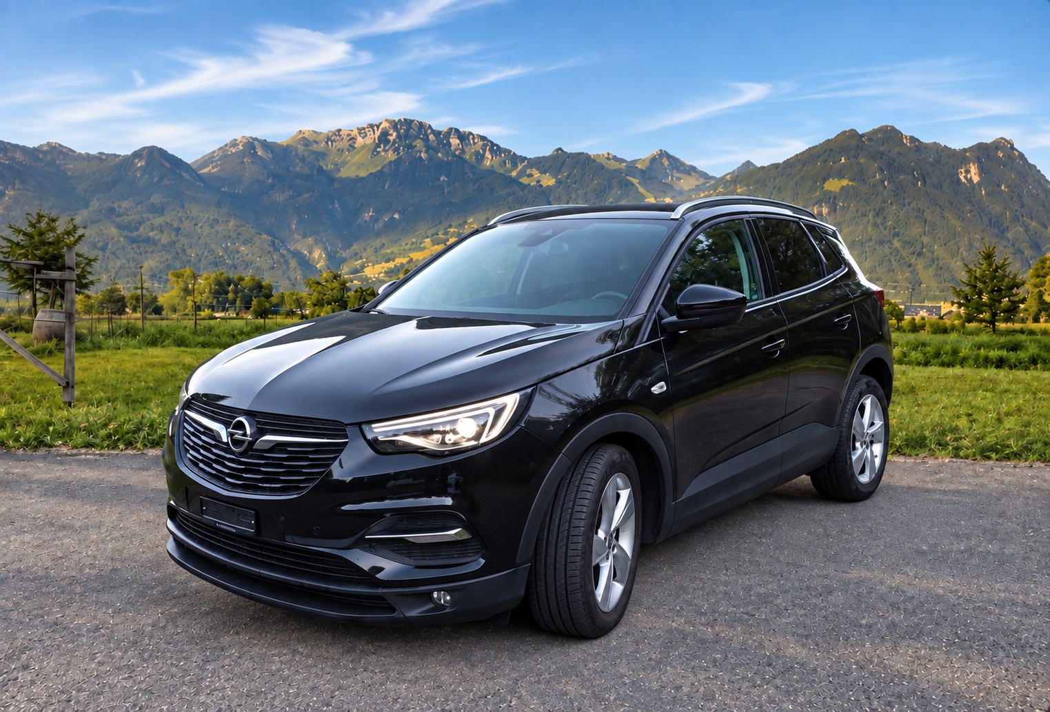 OPEL Grandland X 1.6CDTi Excellence Automatik-image-8