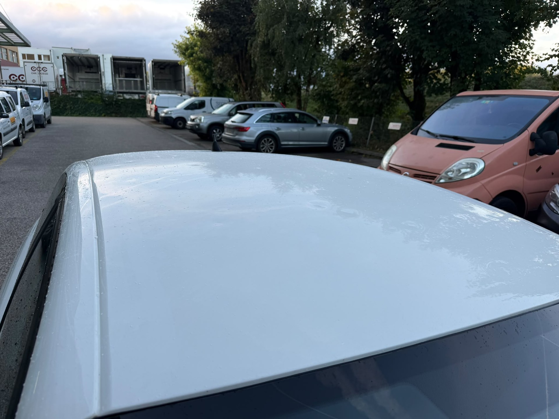 SEAT Ibiza 1.8 20V Turbo FR-image-12