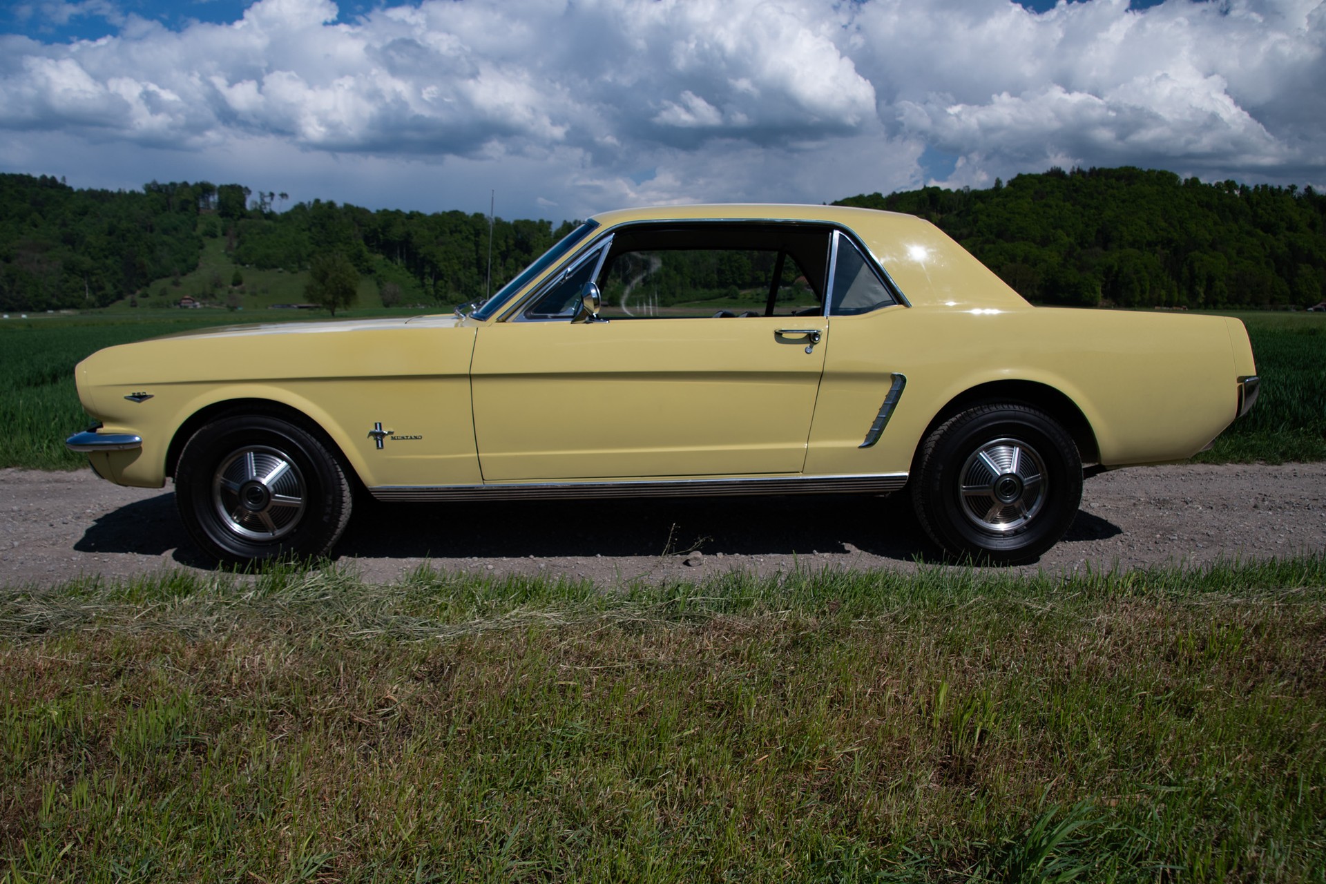FORD 260 V8-image-7