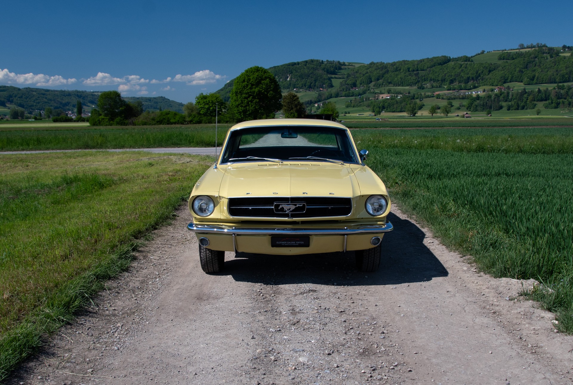 FORD 260 V8-image-1